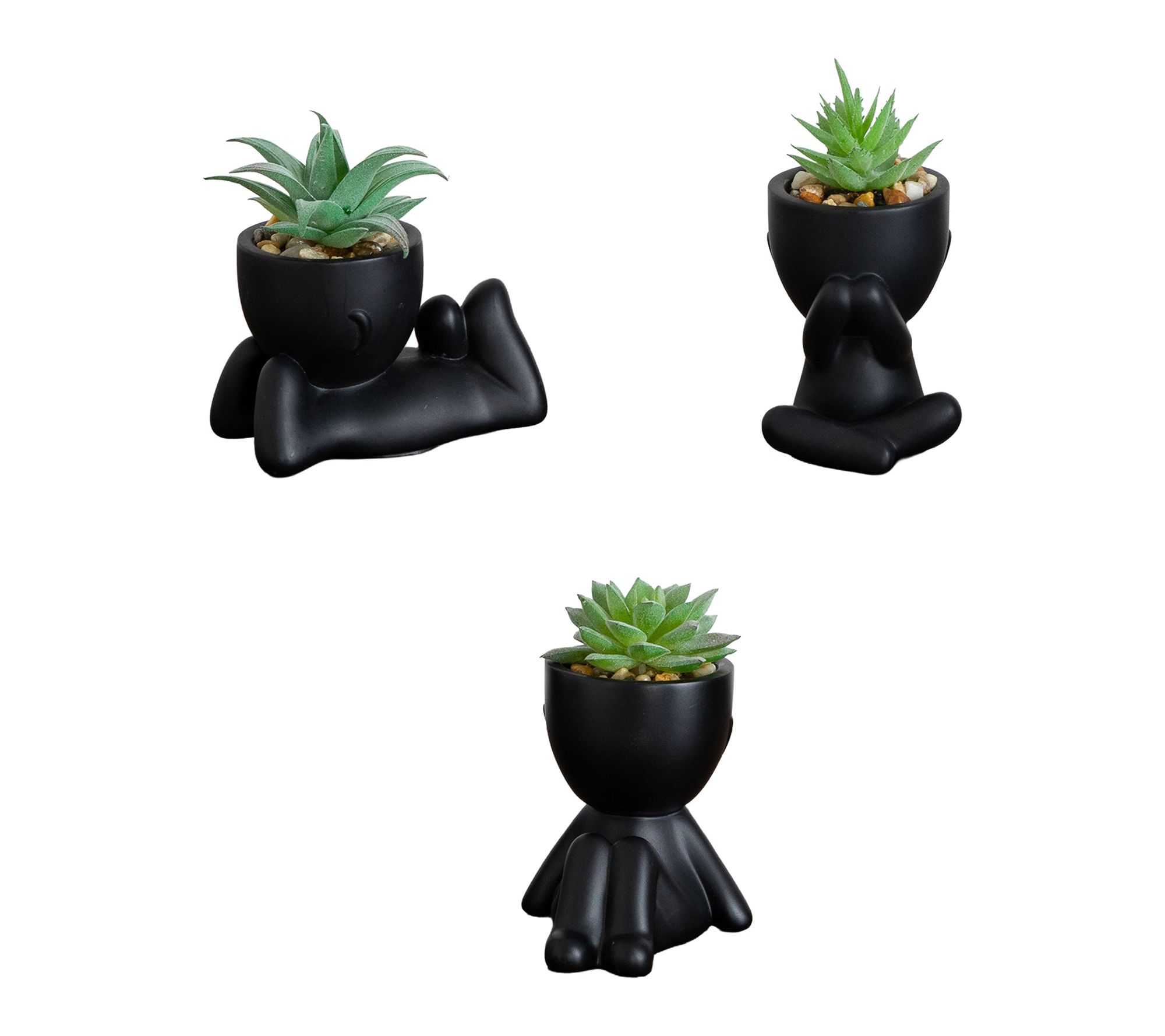 Succulent Plants in Black Planters - Set of 3 by Nearly Natural