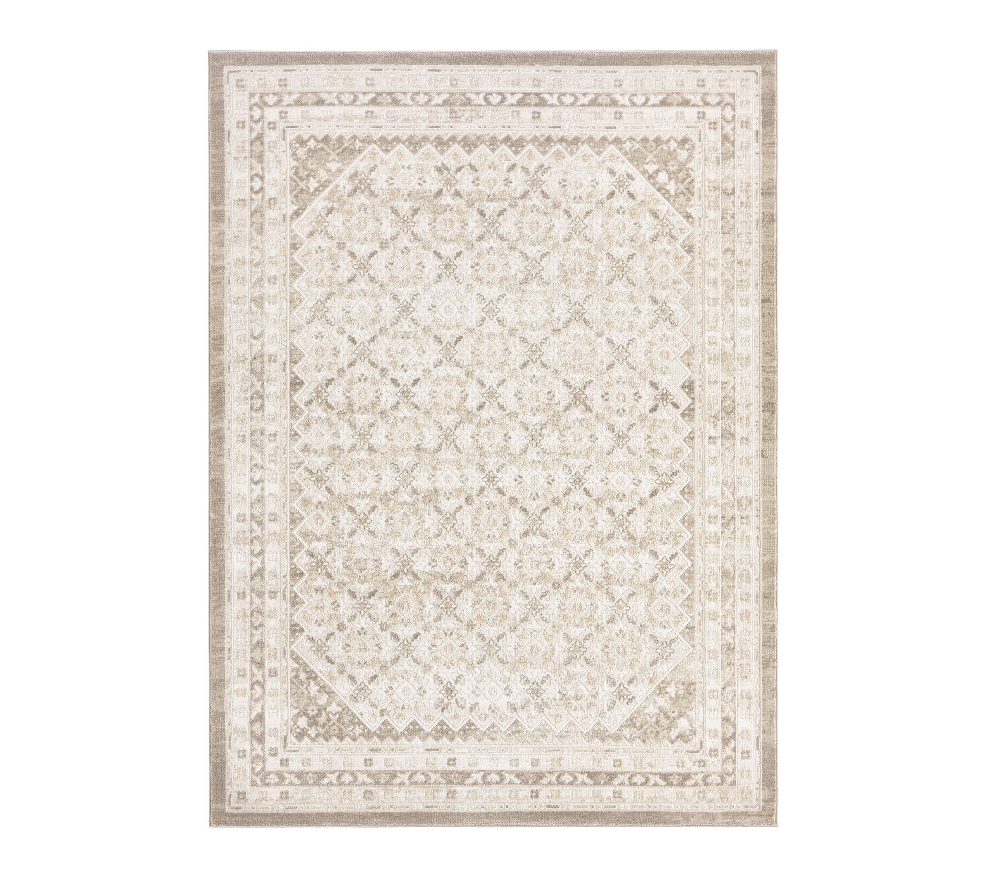 NMNY Mirella Distressed Border 6x9 Area Rug