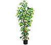 6' Curved Trunk Bamboo Tree by Nearly Natural