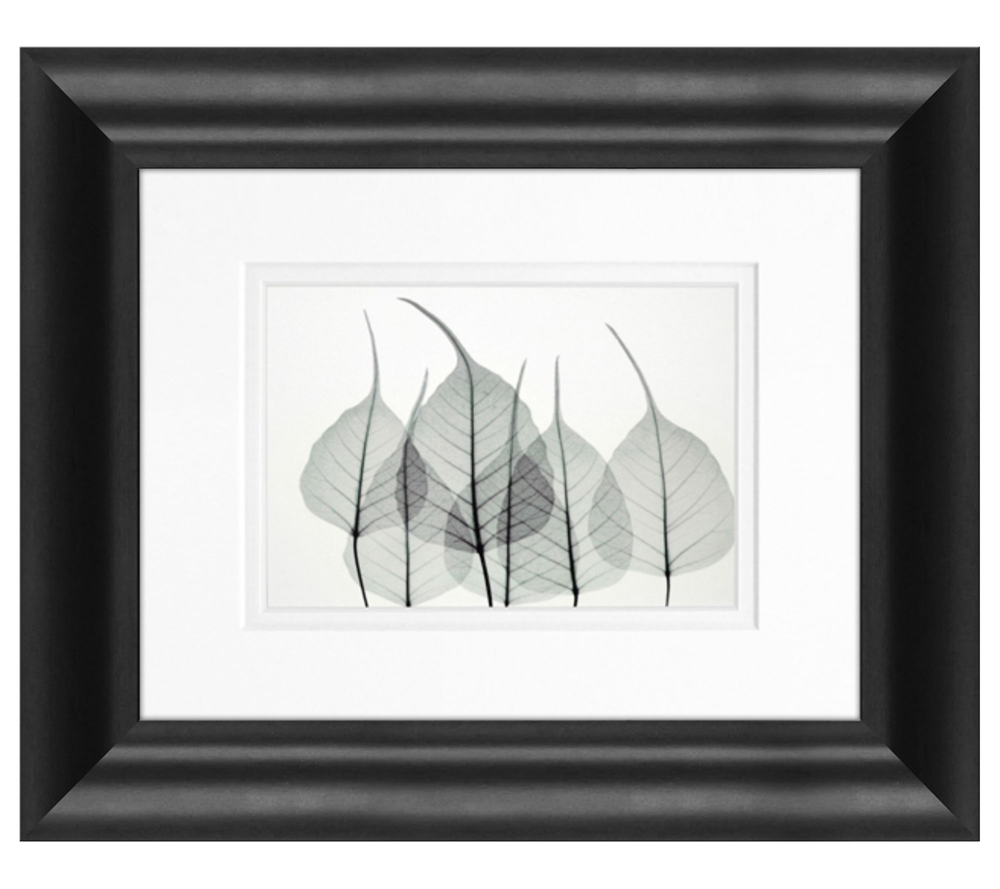 Bo Tree Framed Art by Timeless Frames and Decor - QVC.com
