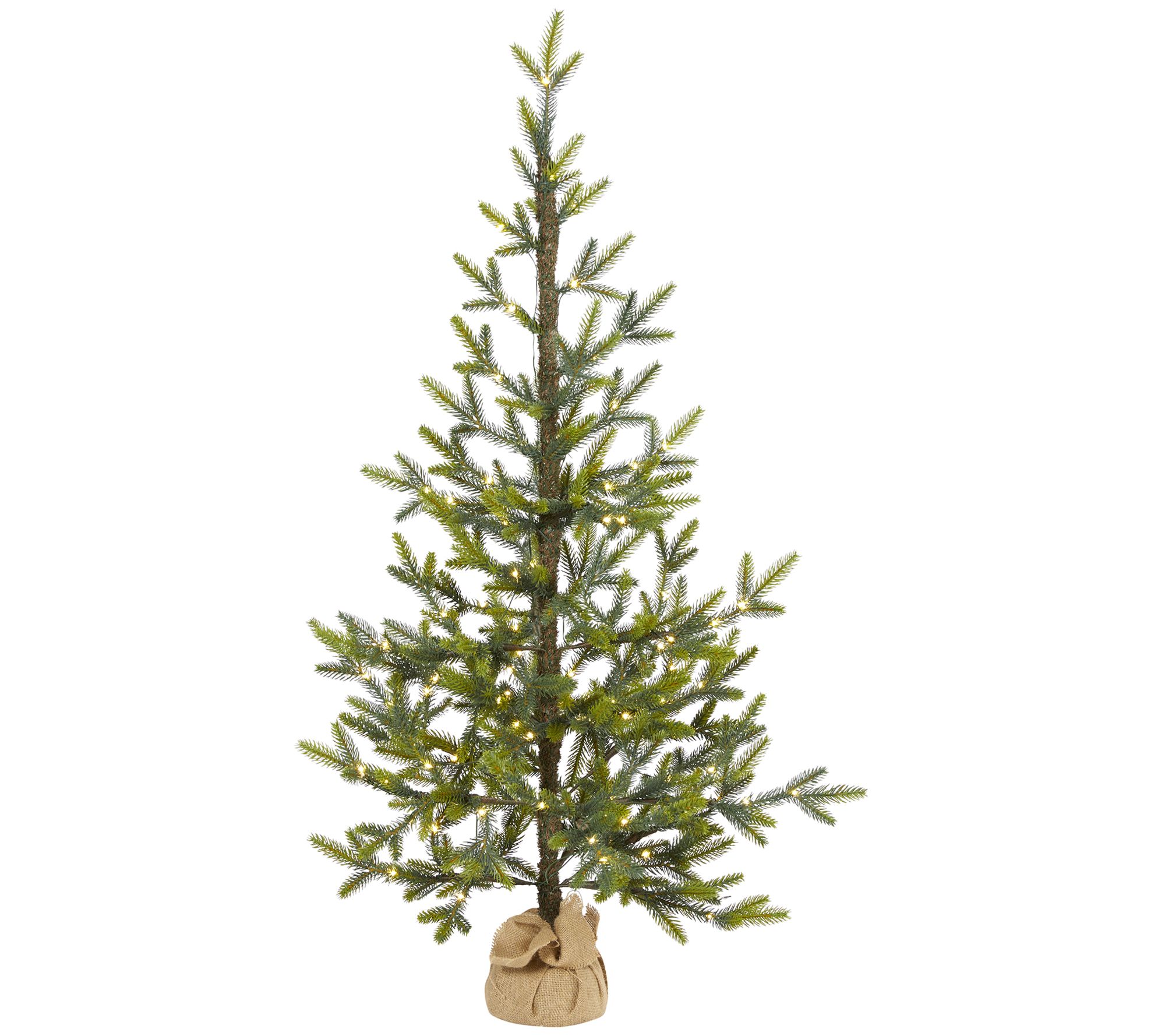 4' Lit Fraser "Natural Look" Christmas Tree byearly Natural