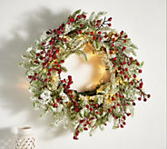 "As Is" Bethlehem Lights Frosted Berry 24" Wreath - H427902