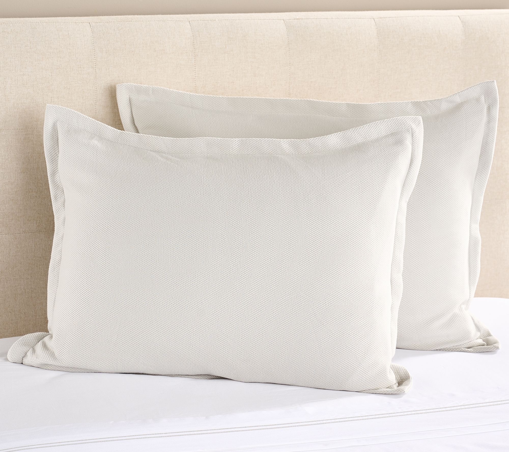 Northern Nights Signature Cotton Textured Pique Set of 2 Shams