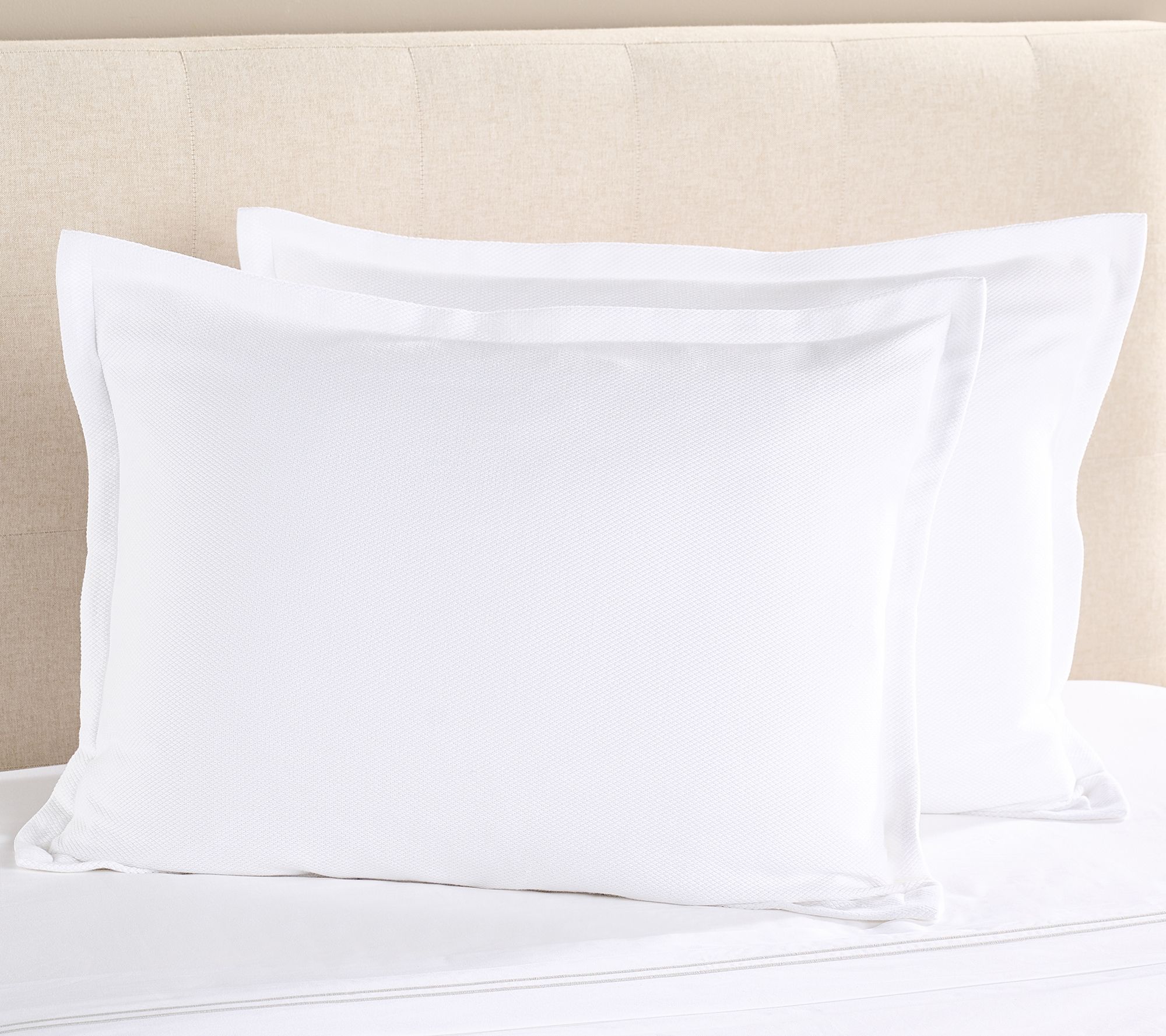 Northern Nights Signature Cotton Textured Pique Set of 2 Shams