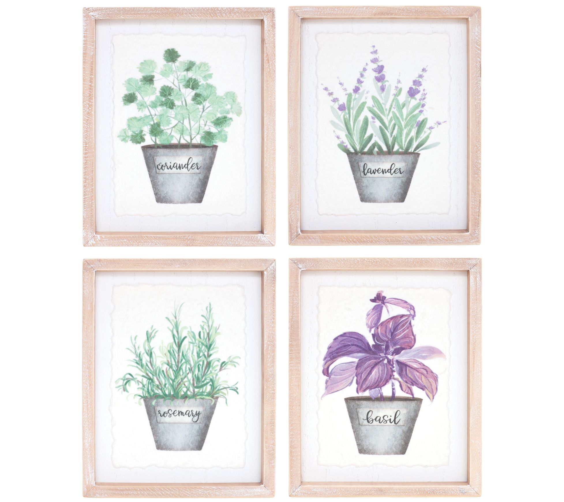 Melrose Framed Watercolor Herb Print (Set of 4)