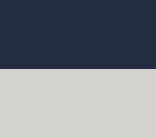 Navy/White