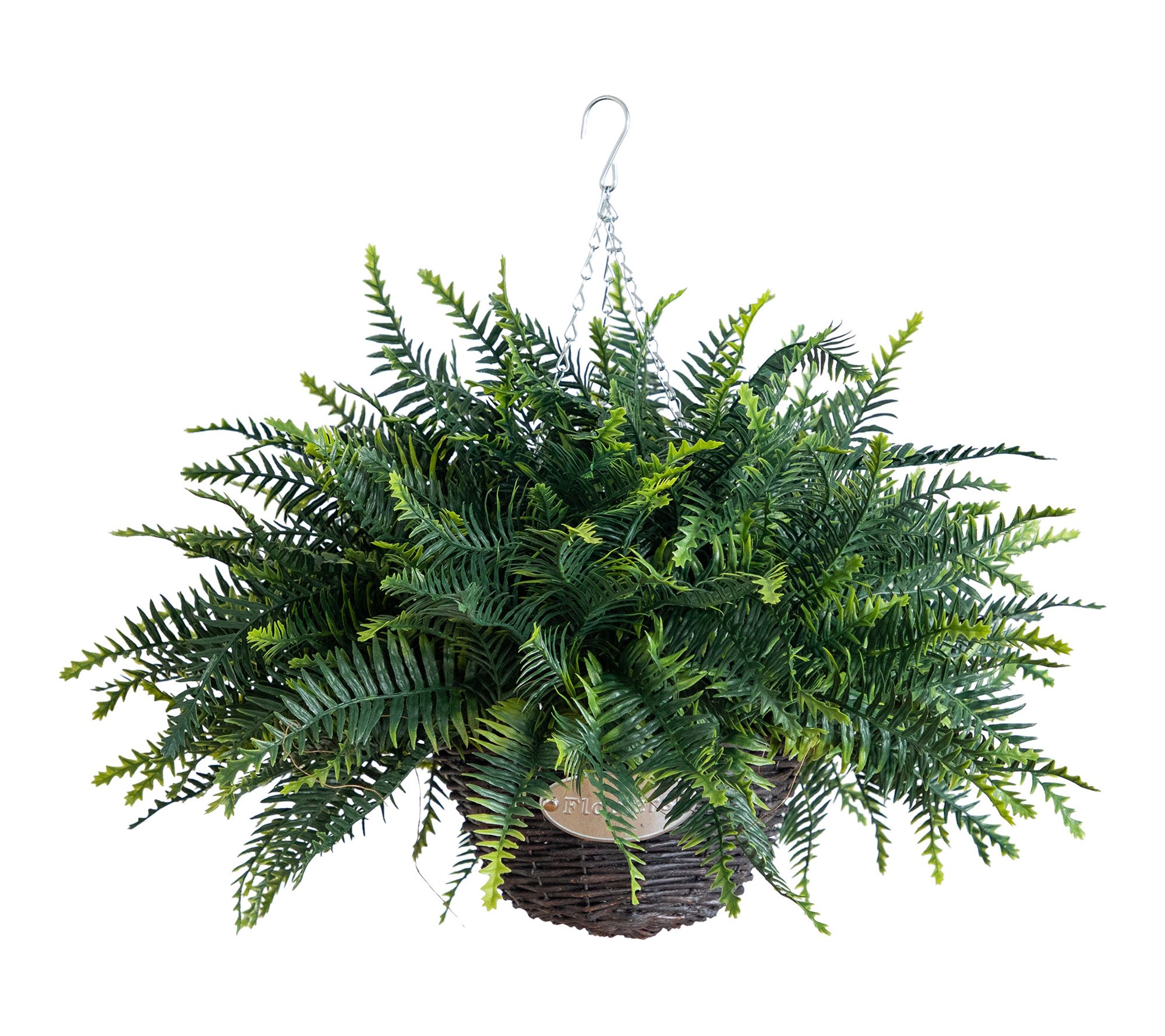 UV Fern Plant in Hanging Basket - Set of 2 by Nearly Natural