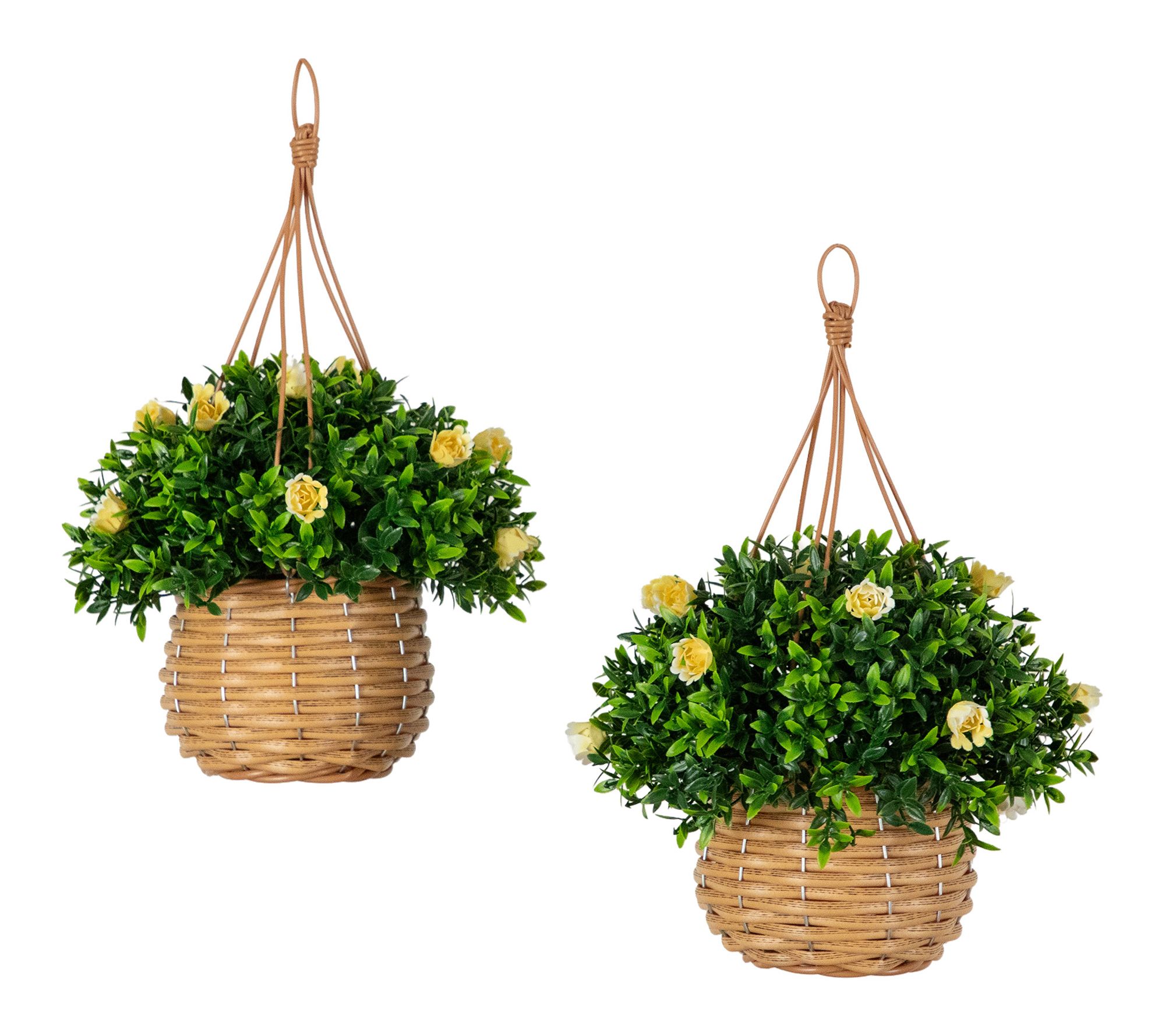 13-in UV Aptenia and Lily Plant - Set of 2 by Nearly Natural