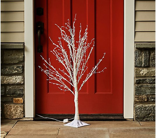 Indoor/Outdoor 3' Illuminated Twinkling Pip Berry Tree by Valerie