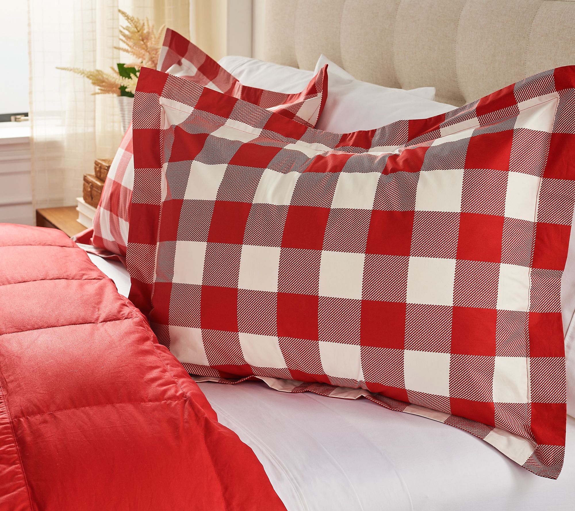 (QVC) Northern Nights 650FP Cotton Printed Grant Plaid Down Blanket