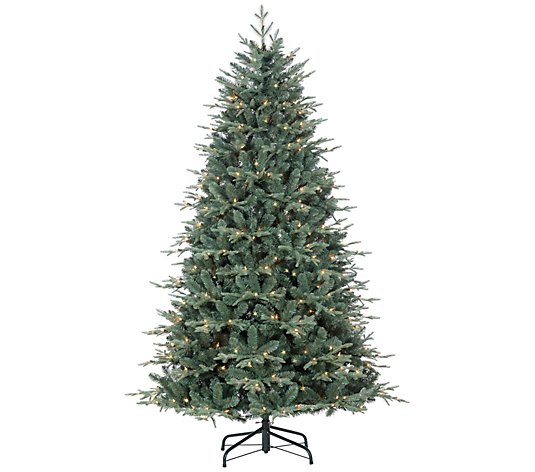 7-Ft Pre-Lit Natural Cut Blue Spruce by Sterling Co