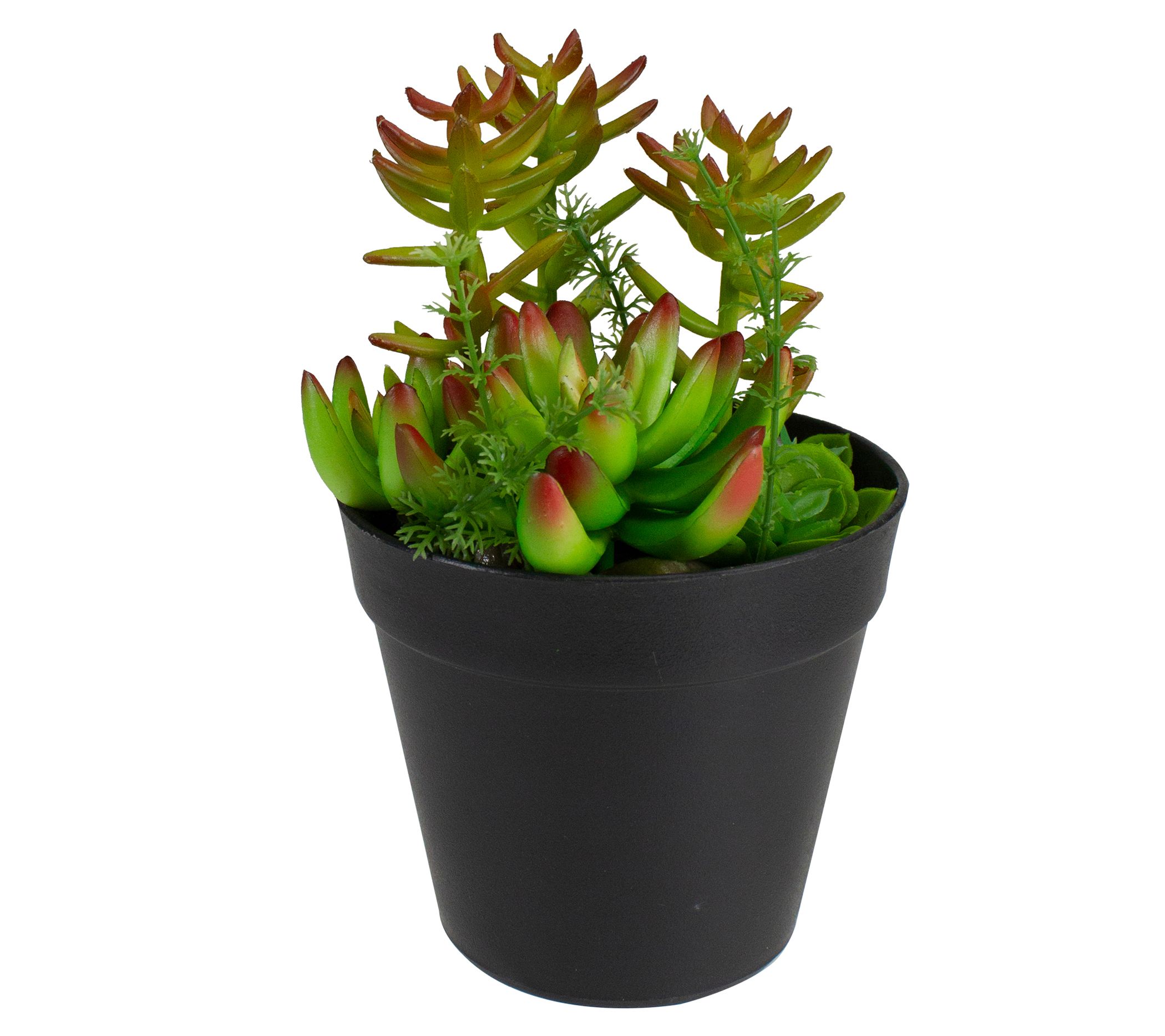 Northlight 8" Artificial Mixed Succulent PlantArrangement