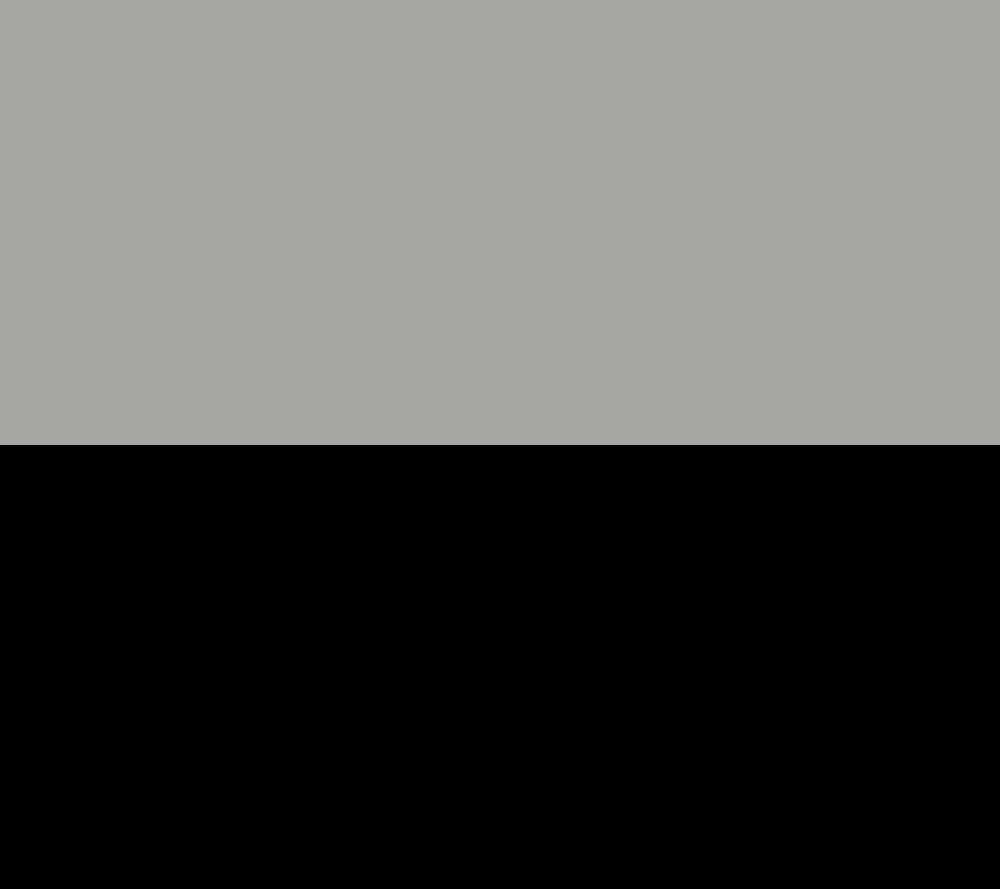 Silver/Black