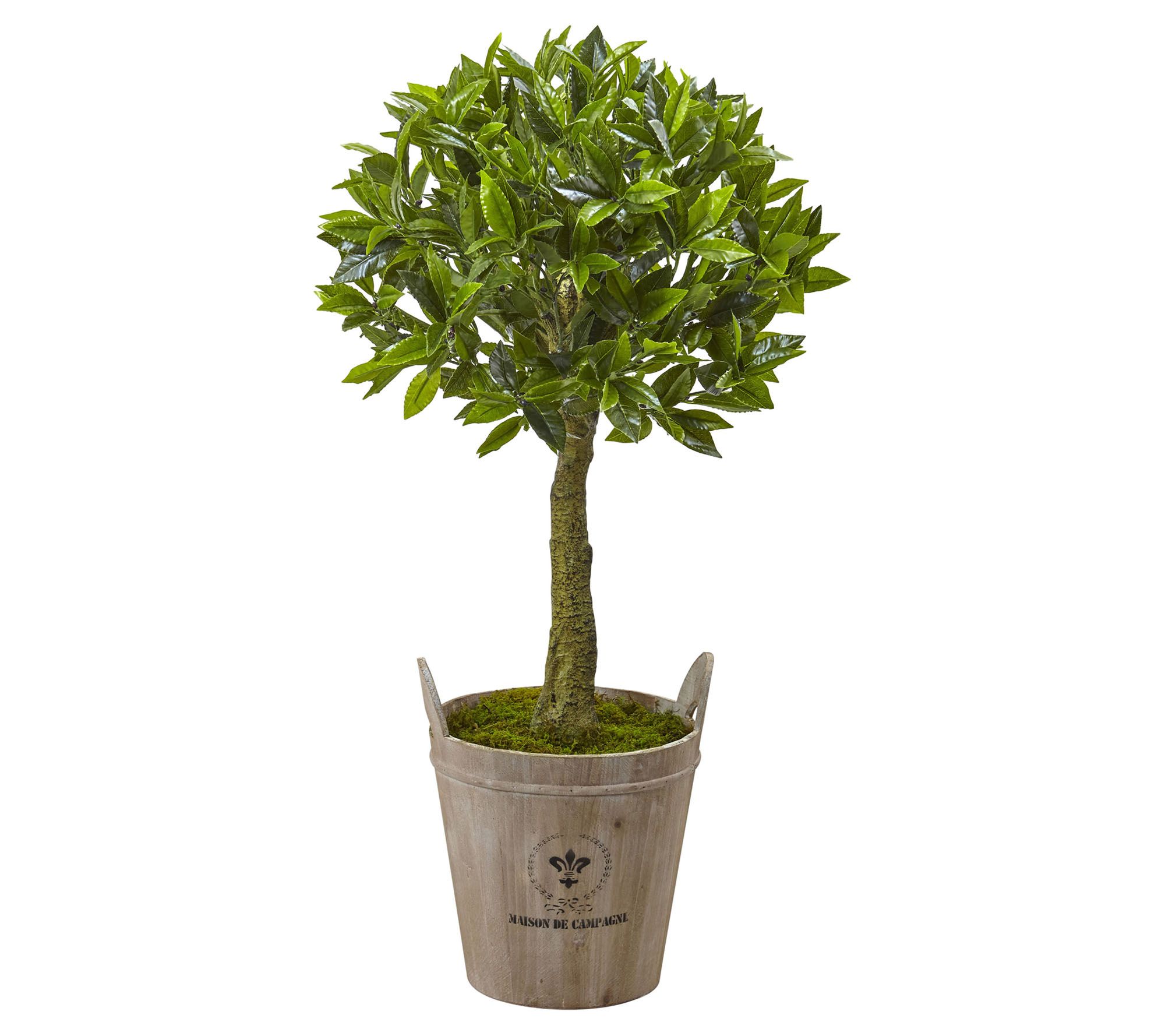 38" Sweet Bay Tree with Farmhouse Planter by Nearly Natural