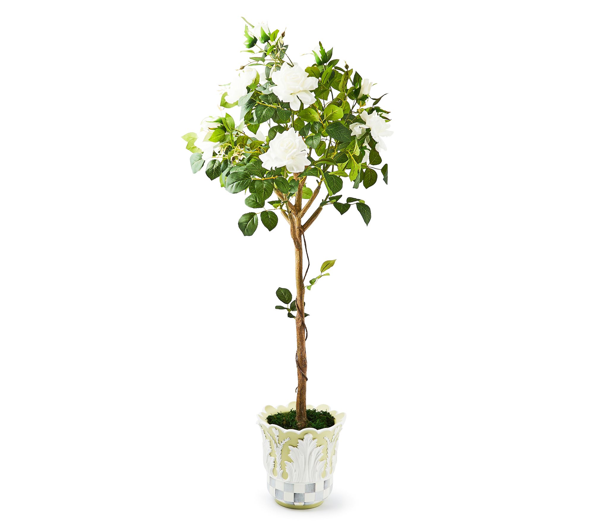 MacKenzie-Childs Cameo 52" Potted Rose Topiary