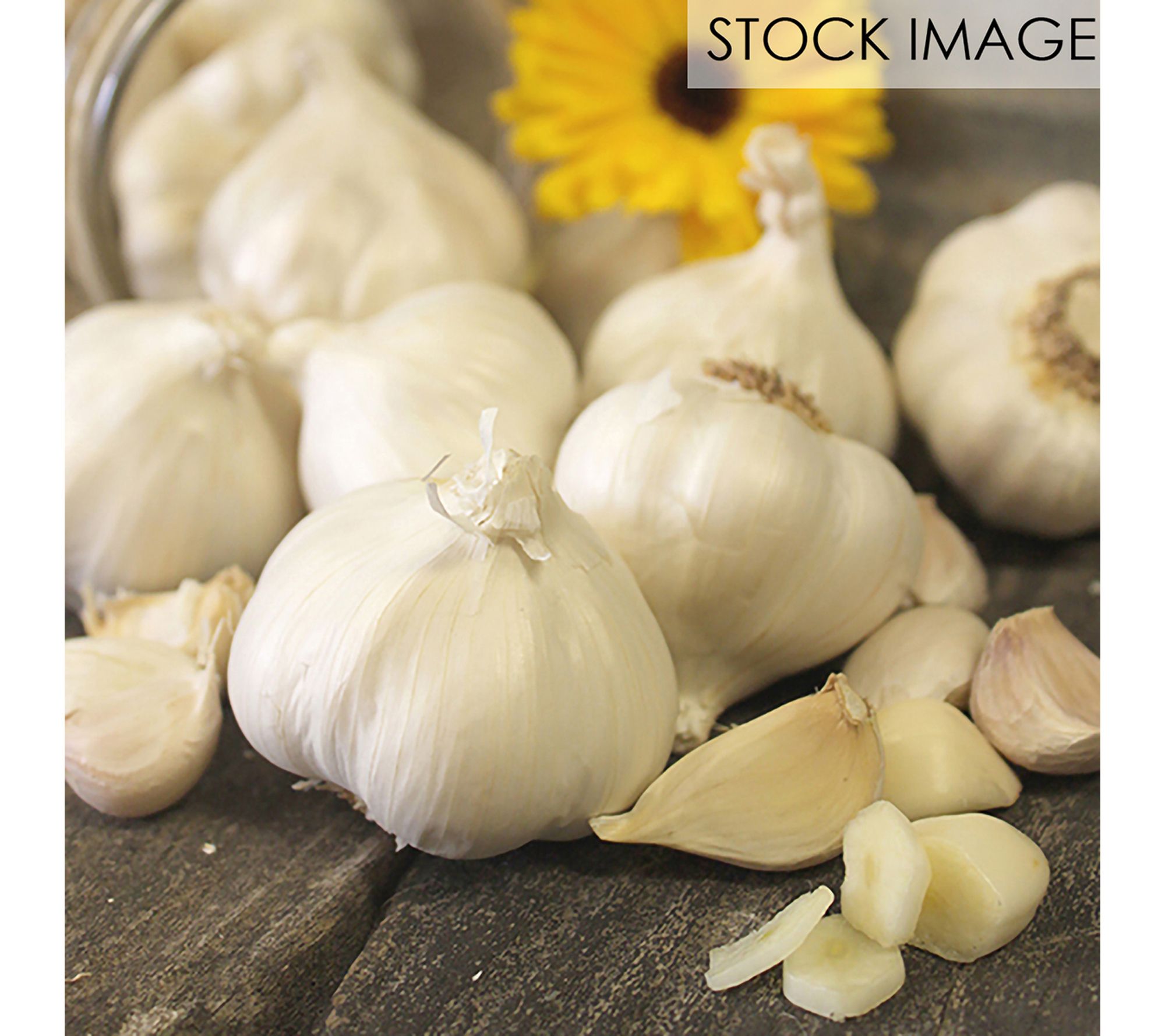 Van Zyverden Garlic Softneck Silverskin SilverRose 3 Bulbs