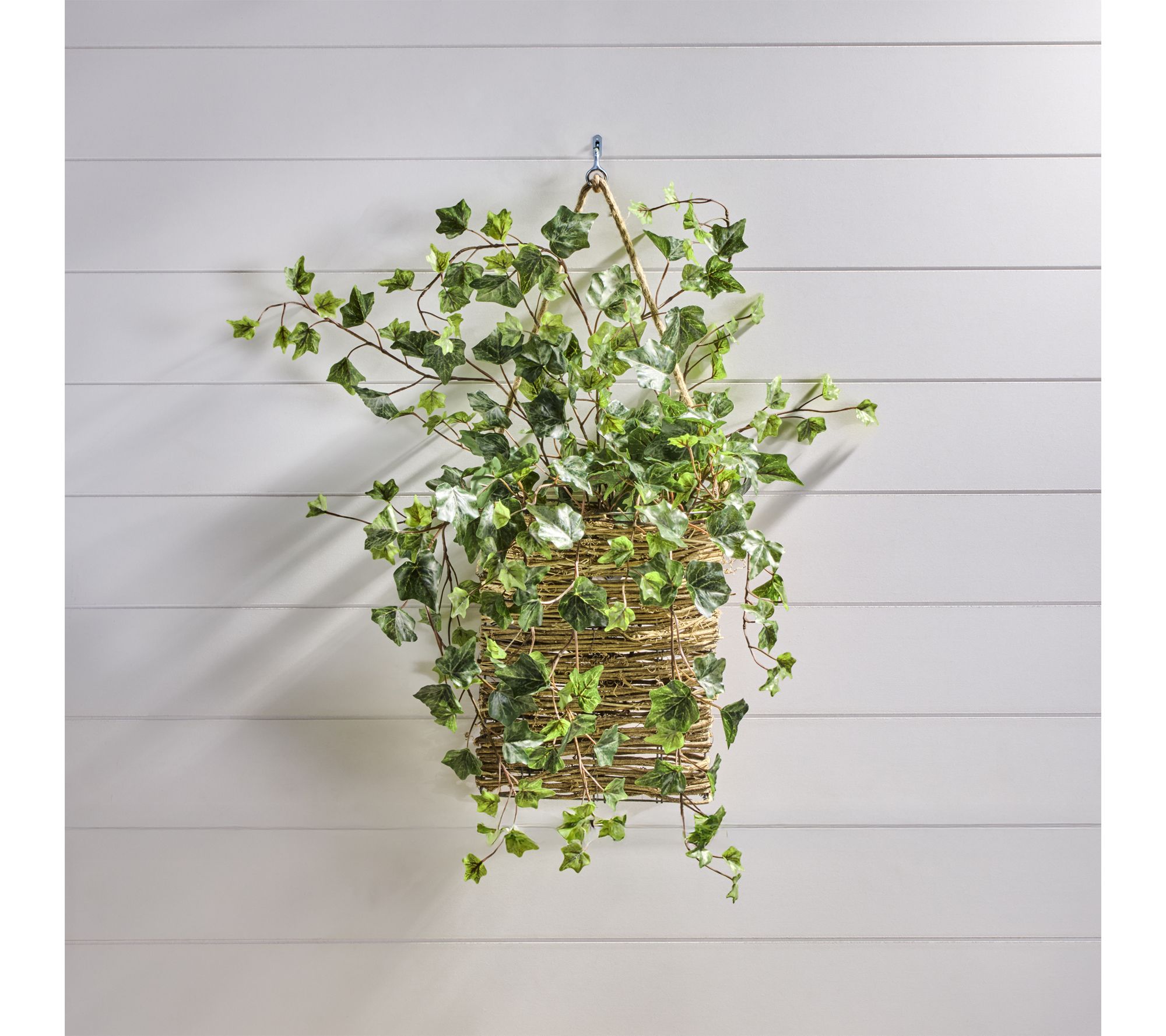 25" Frosted English Ivy Spray Set of 4 By Valerie