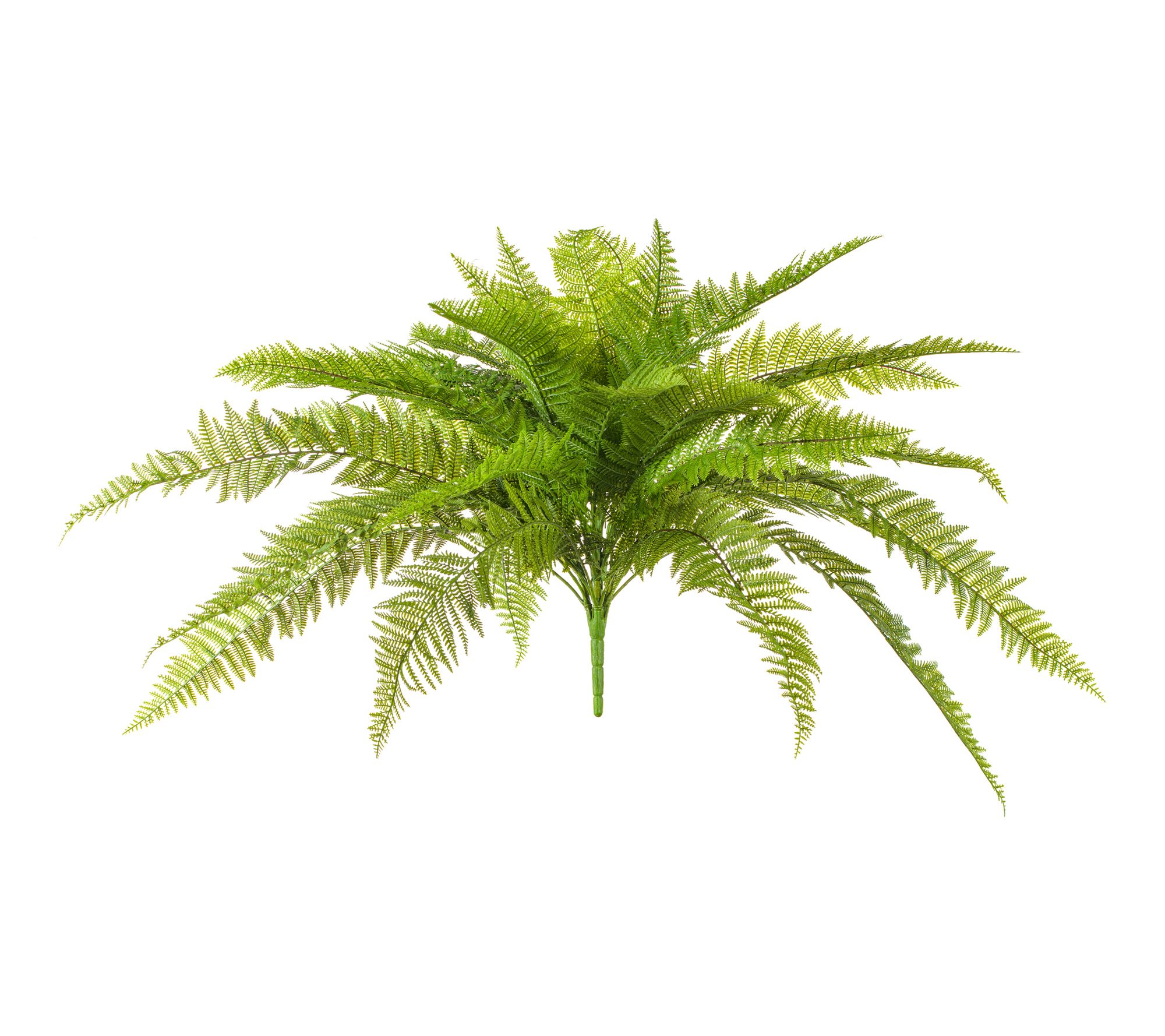 Vickerman 31" Green Leather Fern UV