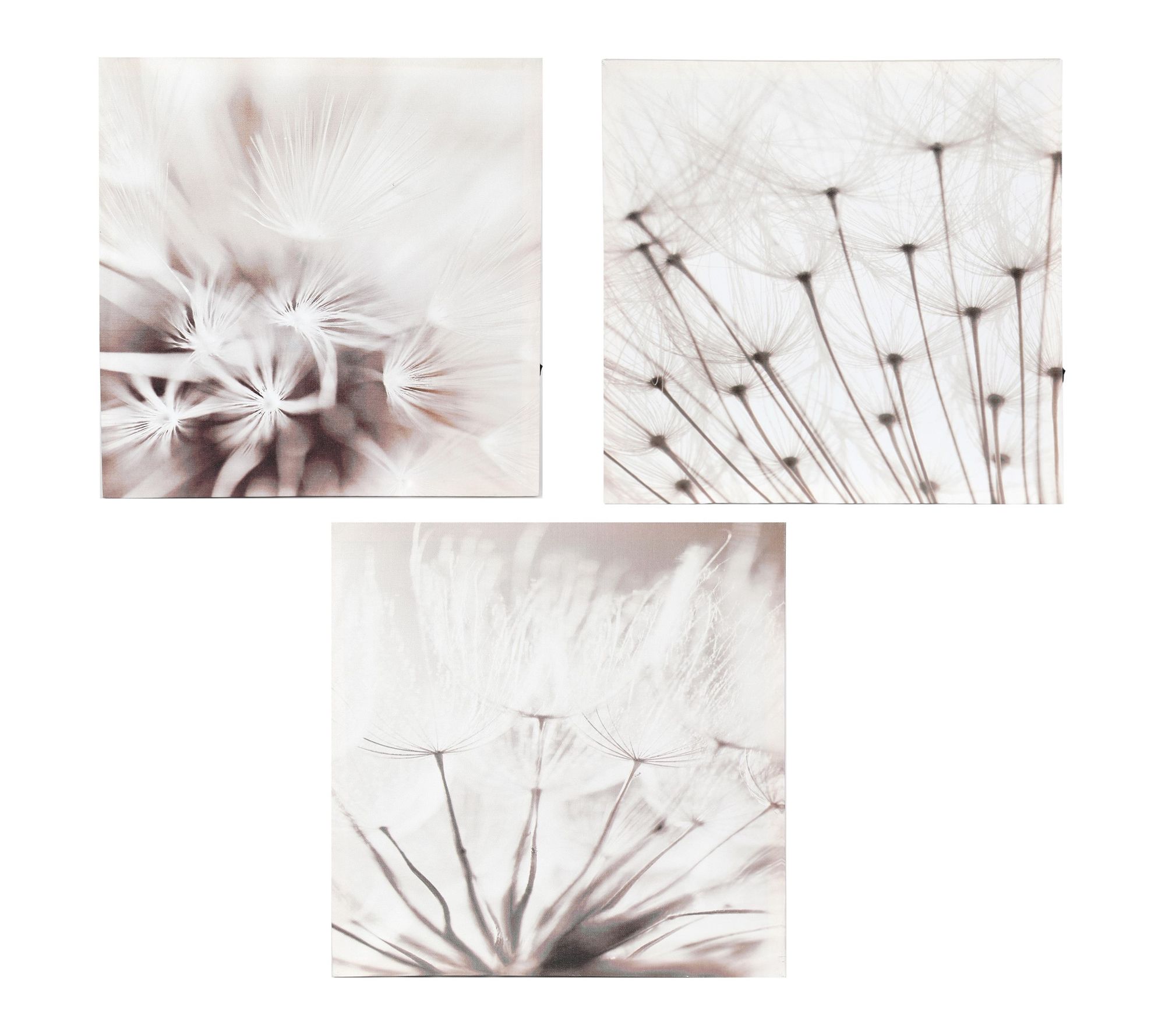 LuxenHome 3-Piece Dandelion Print Set with Lights