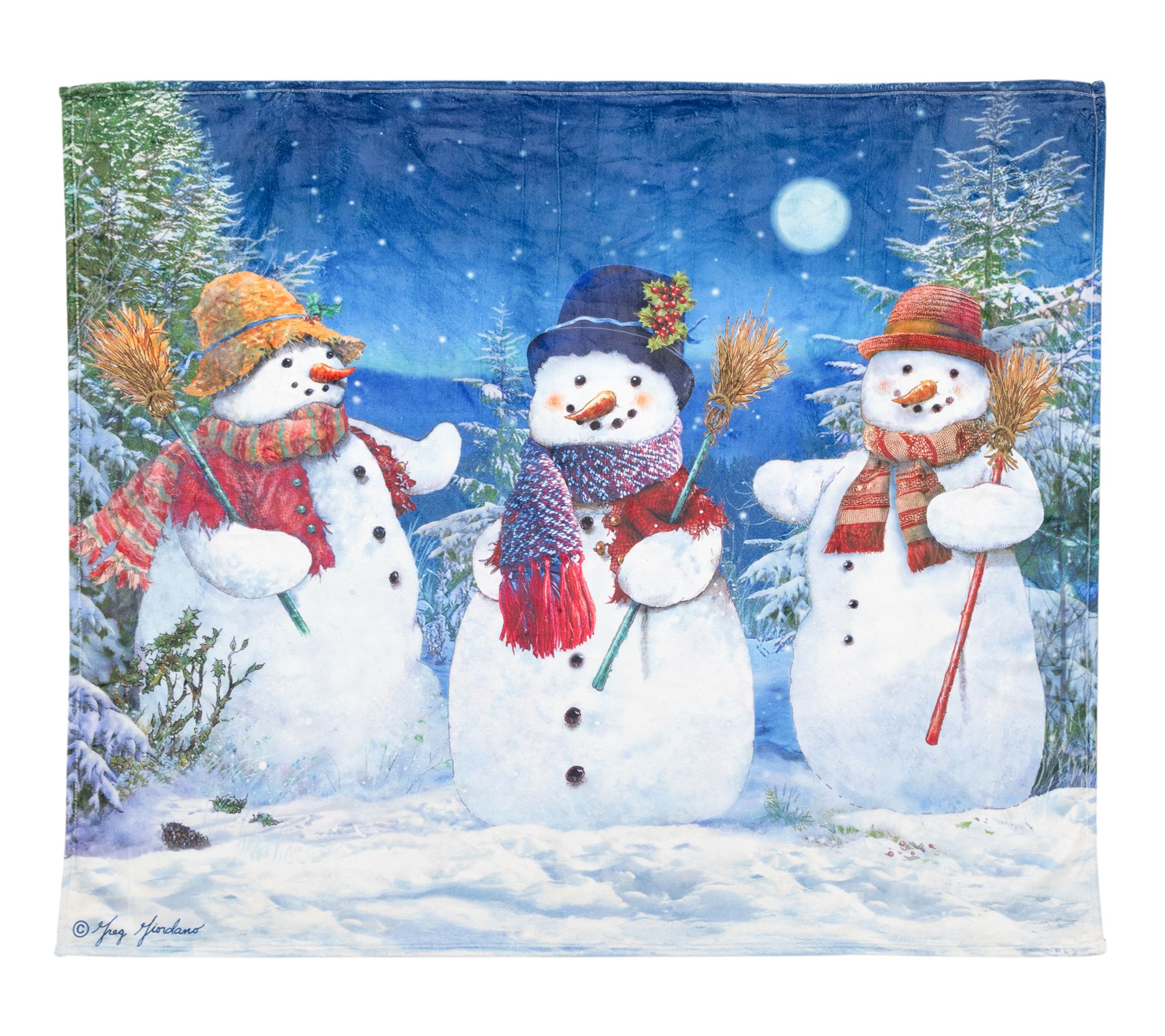 "As Is " Berkshire 60x70 Winter Scenes Giordano Throw