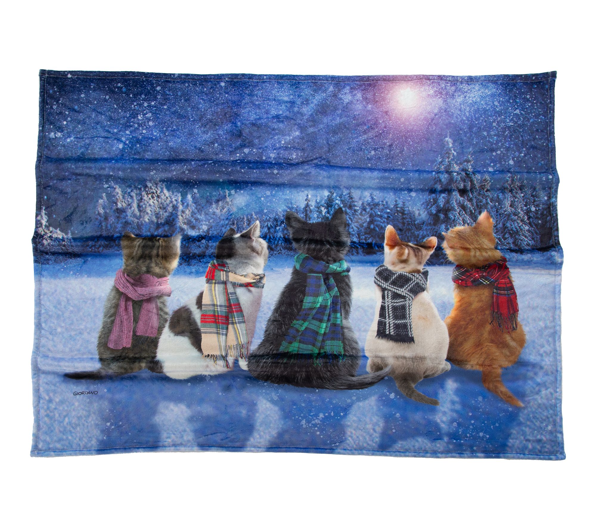 "As Is " Berkshire 60x70 Winter Scenes Giordano Throw