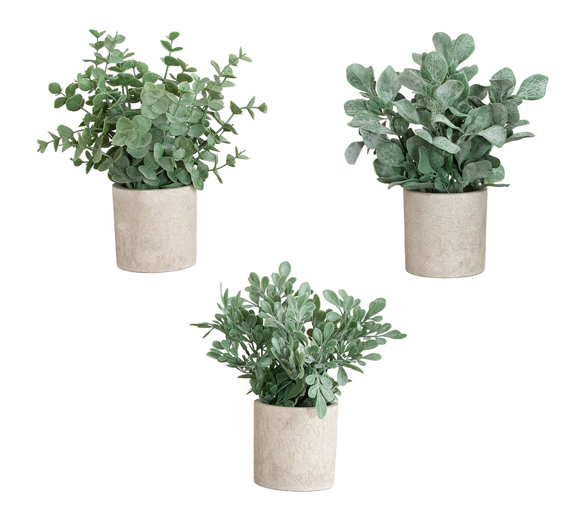 Greenery Plants in Planters - Set of 3 by Nearly Natural