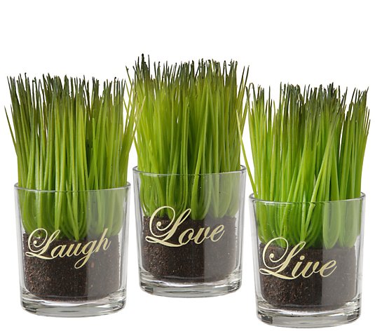National Tree Company 3-Piece Sprout-Filled Glass Assortment