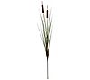Vickerman 36" Artificial Potted Green Grass andCattails, 1 of 3