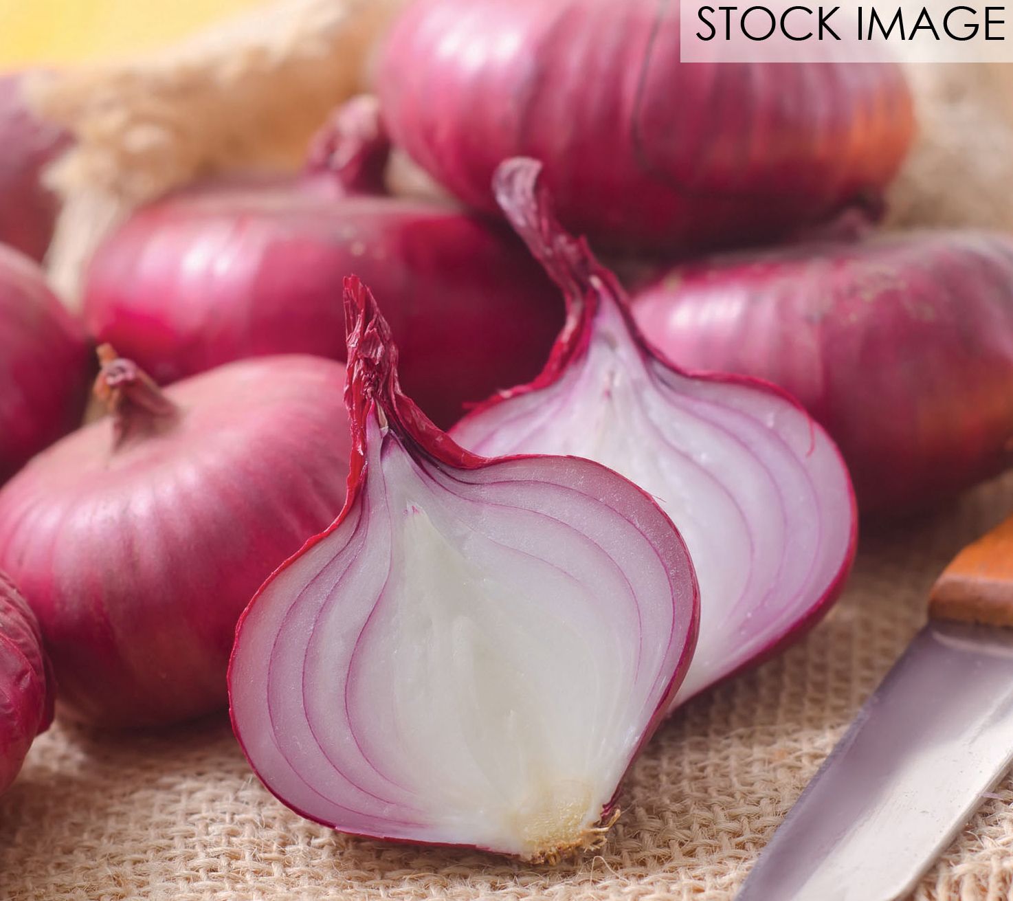 Van Zyverden Onion Sets Red Set of 250 Bulbs