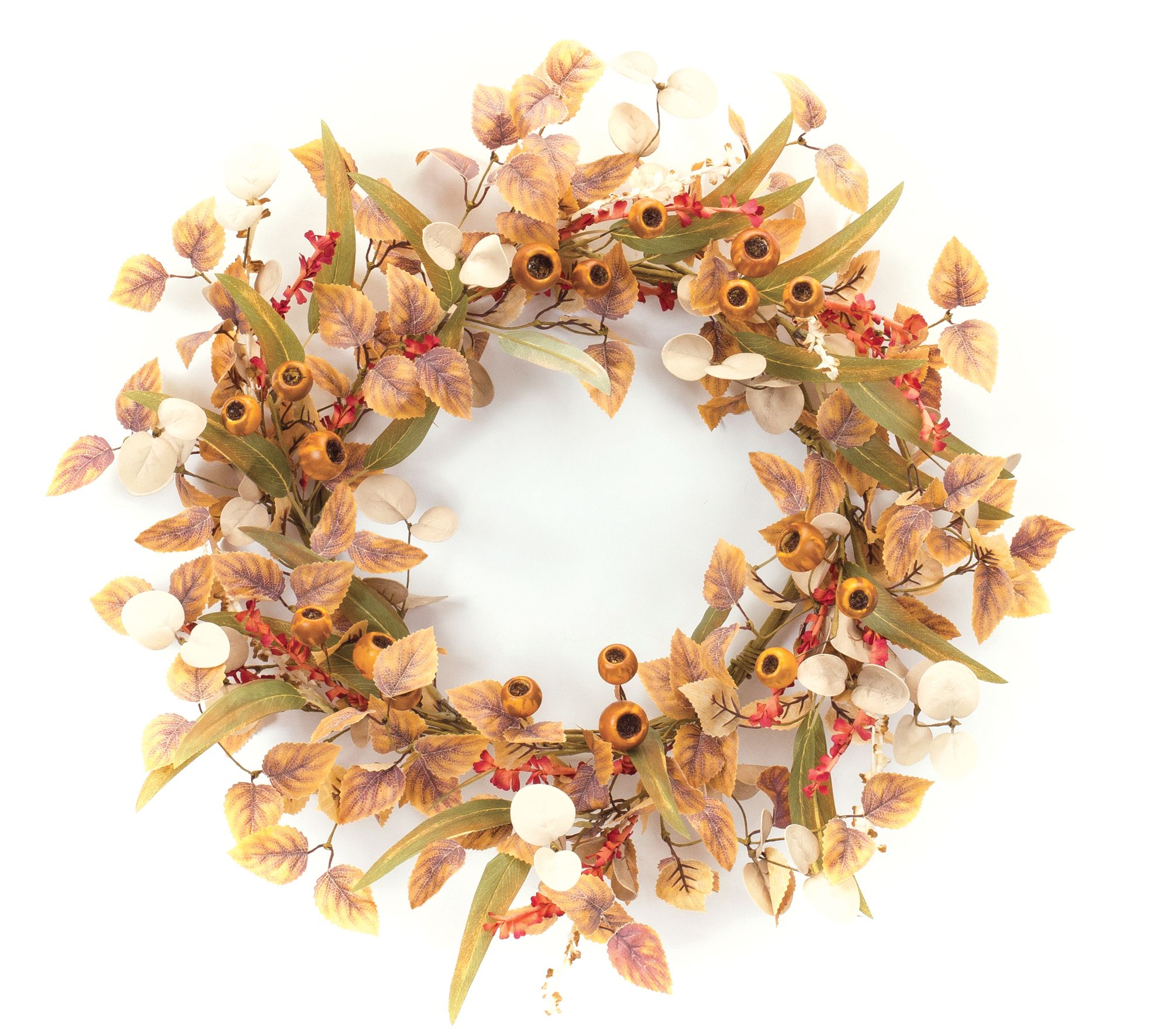 Melrose Foliage Twig Garland (Set of 2)