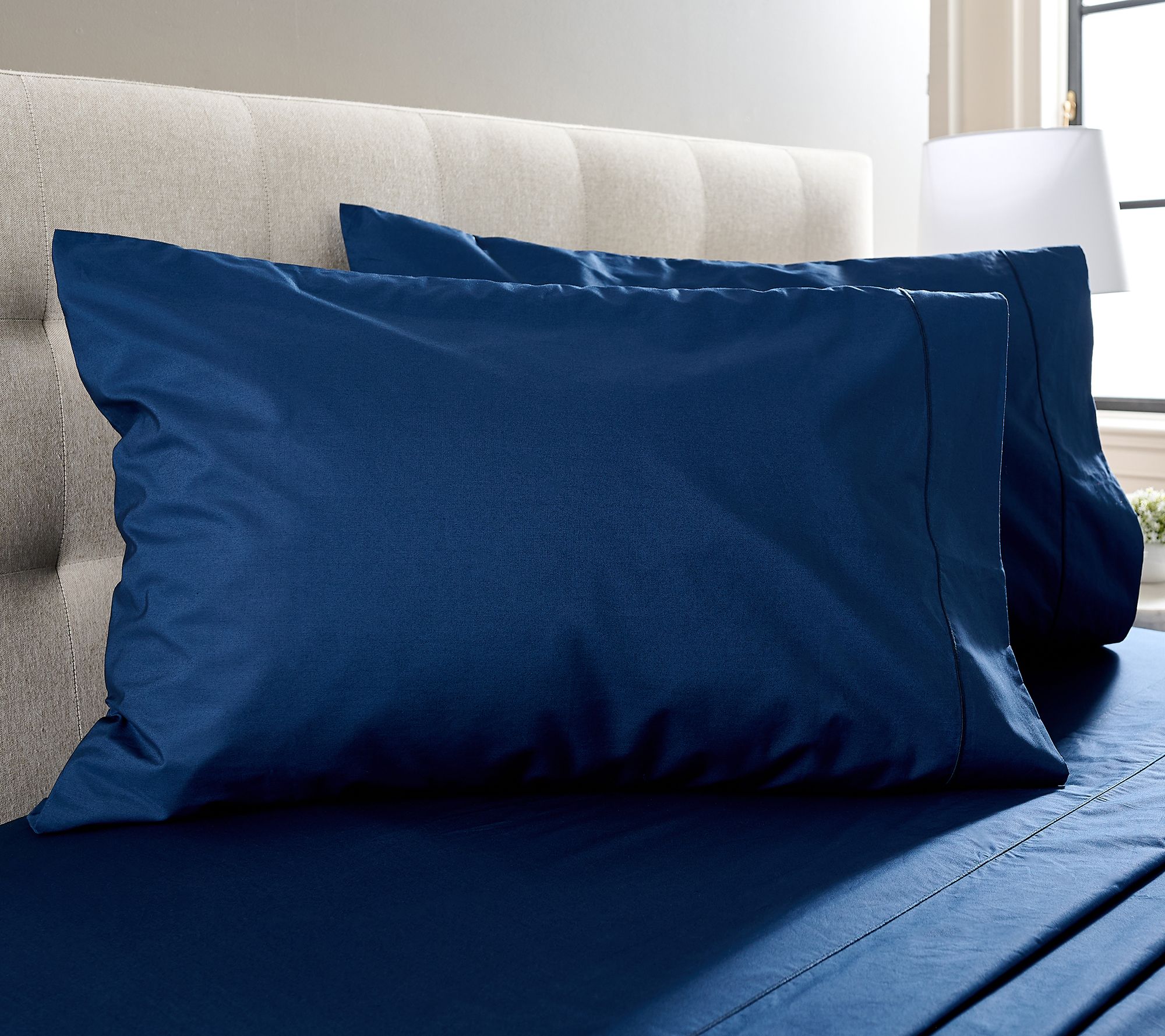 Northern Nights Signature Cotton Percale Set of 2 Pillowcases