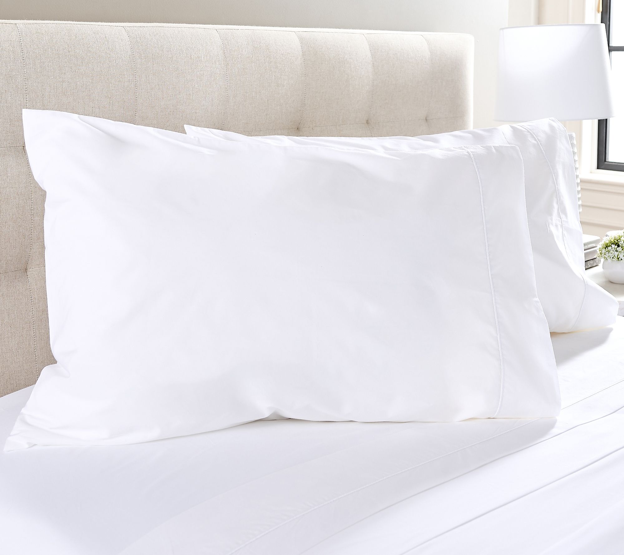 Northern Nights Signature Cotton Percale Set of 2 Pillowcases