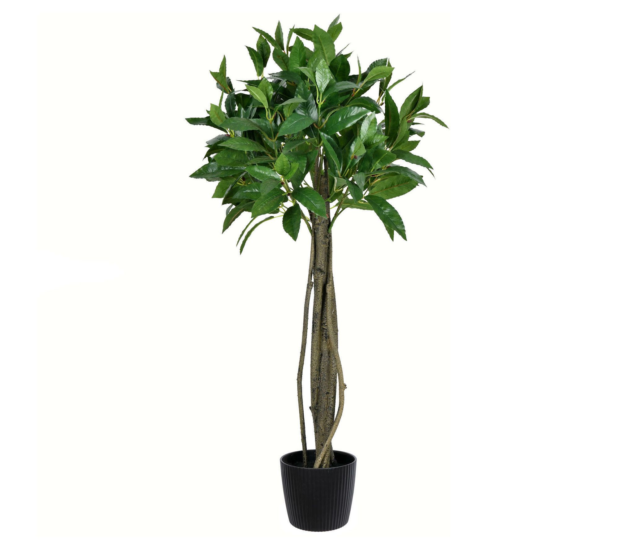 Vickerman 3' Artificial Potted Bay Leaf Topiary