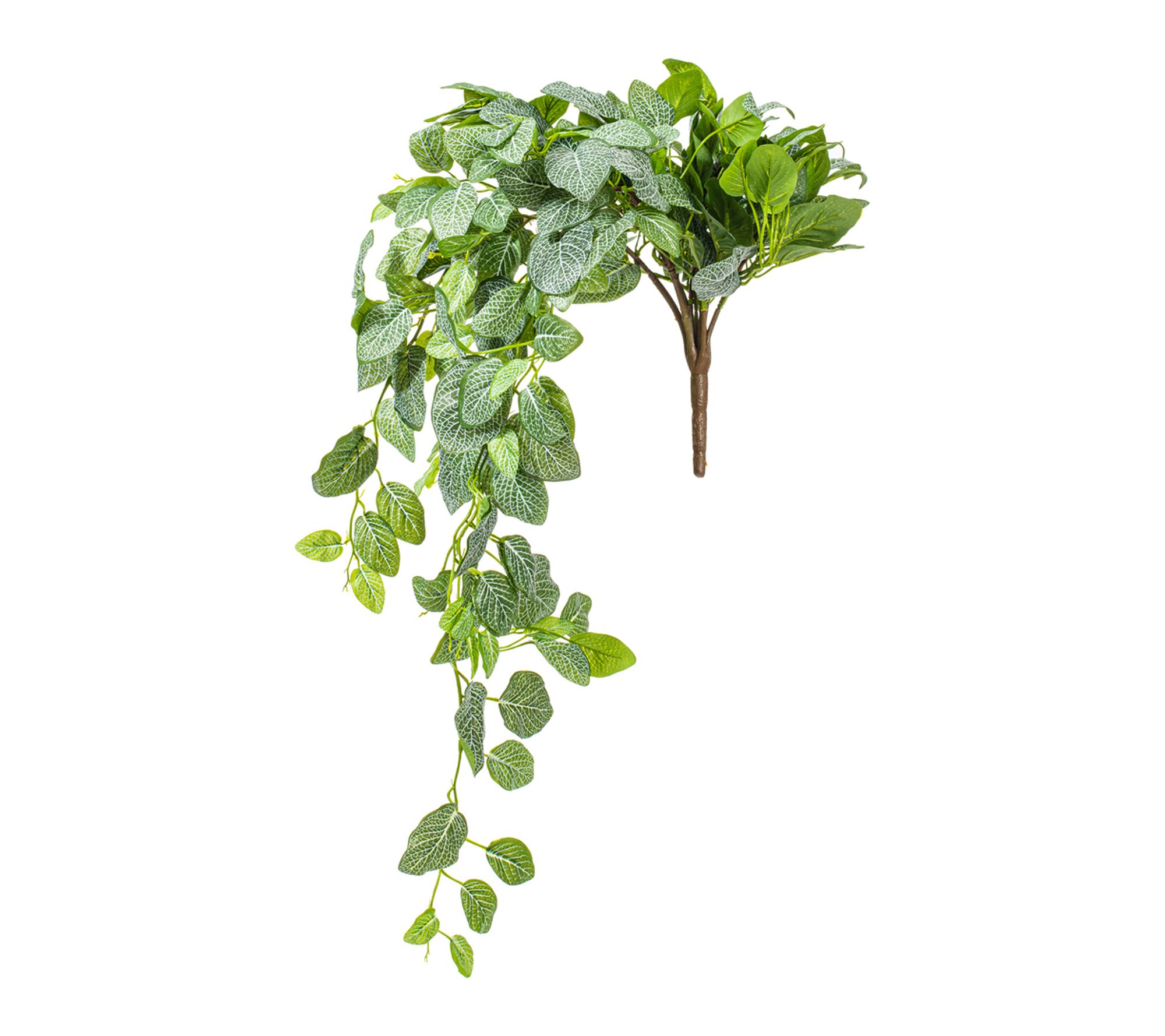 Vickerman 33" Green Fittonia Bush UV