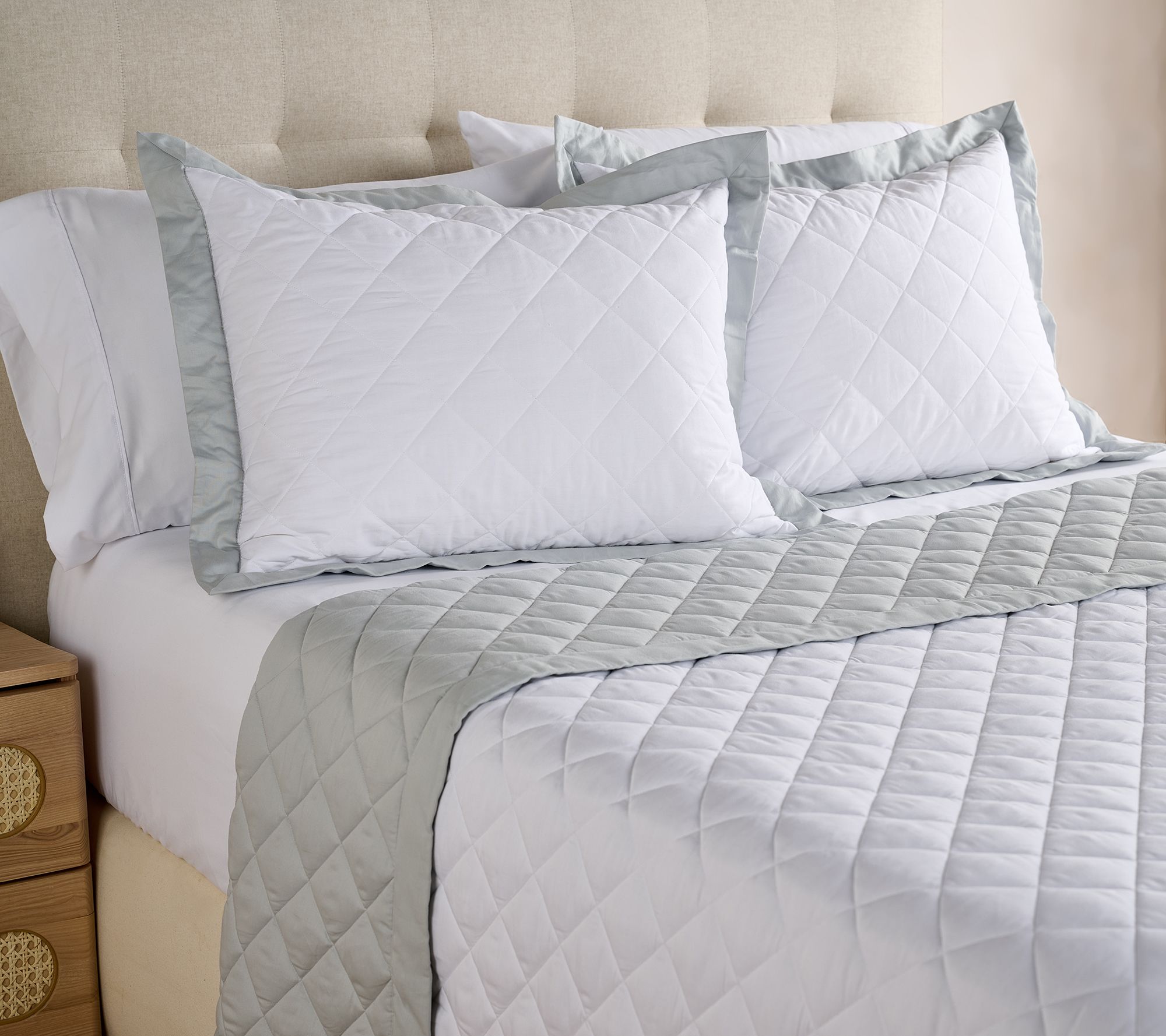 "As Is" W by Wamsutta Revers ible Down Alt Blanket & Sham Set- Queen