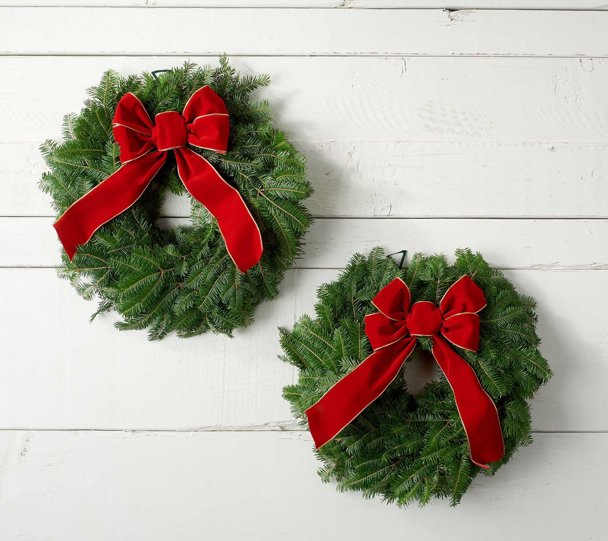 Set of 2 Fresh Balsam Mini Wreaths By Valerie