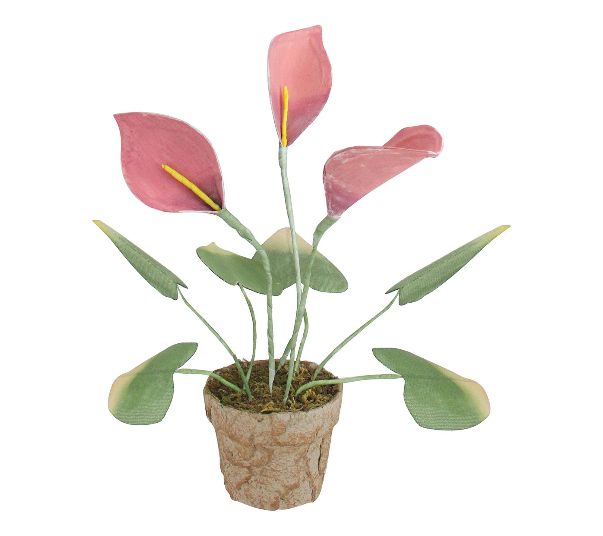 Northlight 19" Pink and Green Decorative Callaily Plants