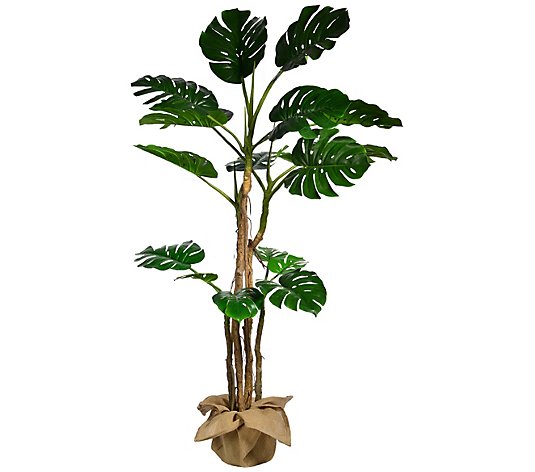 Vintage Home 72" Tall Monstera Cerimanin with Burlap Kit