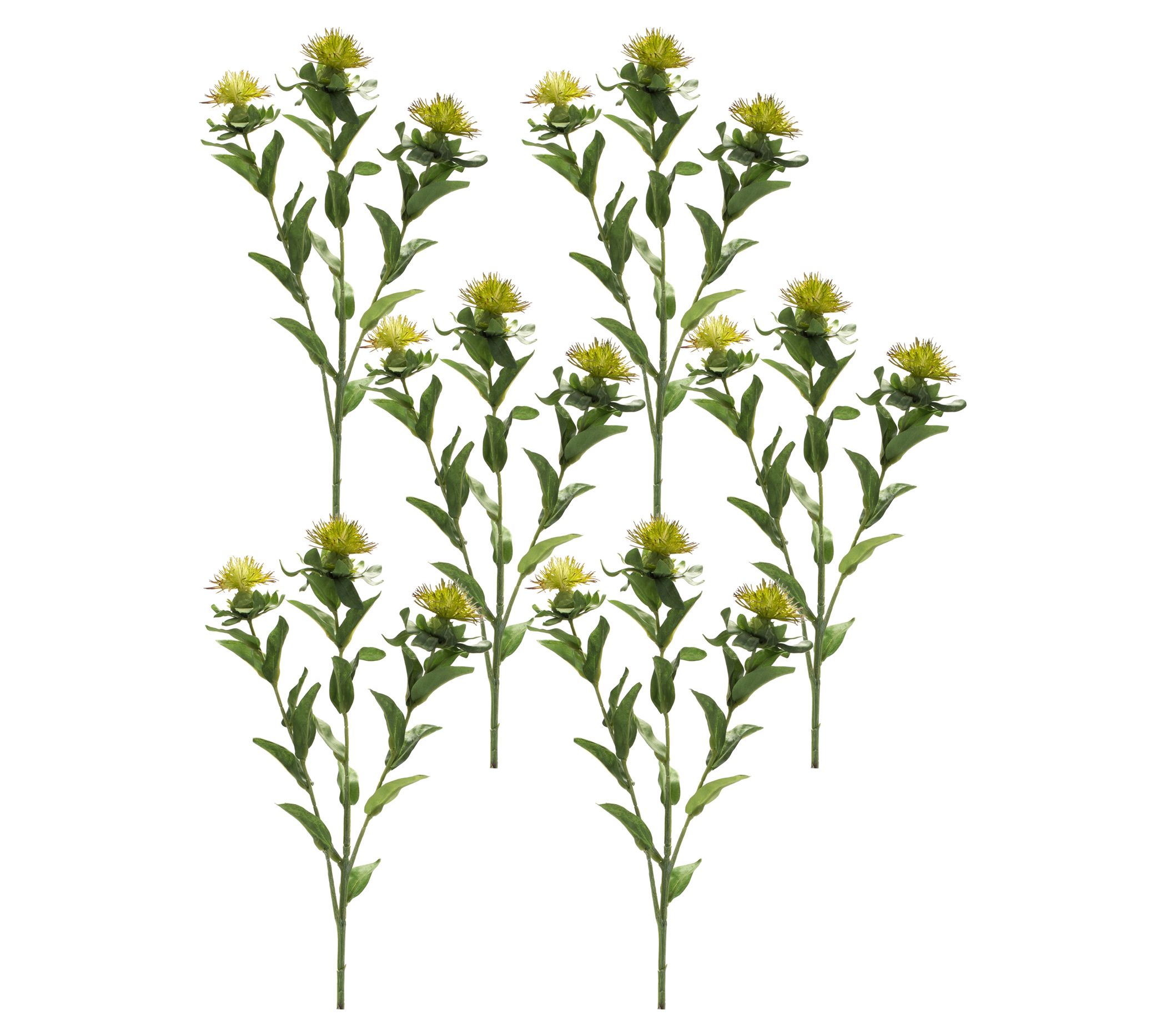 Melrose Thistle Floral Spray - Set of Six