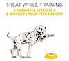 Arf Pets Treat Dispenser & Memory Training Activity Toy, 2 of 7