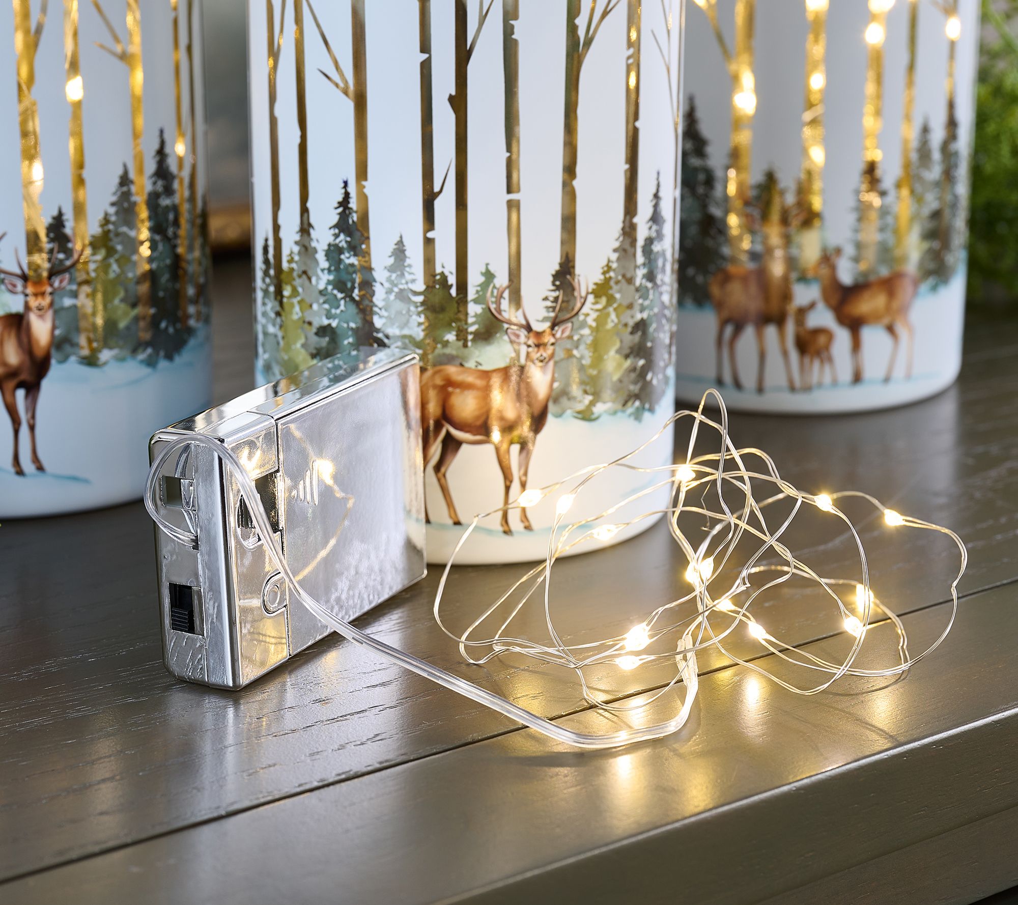 No.121 クリスマスver.冬のぷかぷかハーバリウム3本set Set of 3 Illuminated Woodland Glass Hurricanes by Valerie - QVC.com