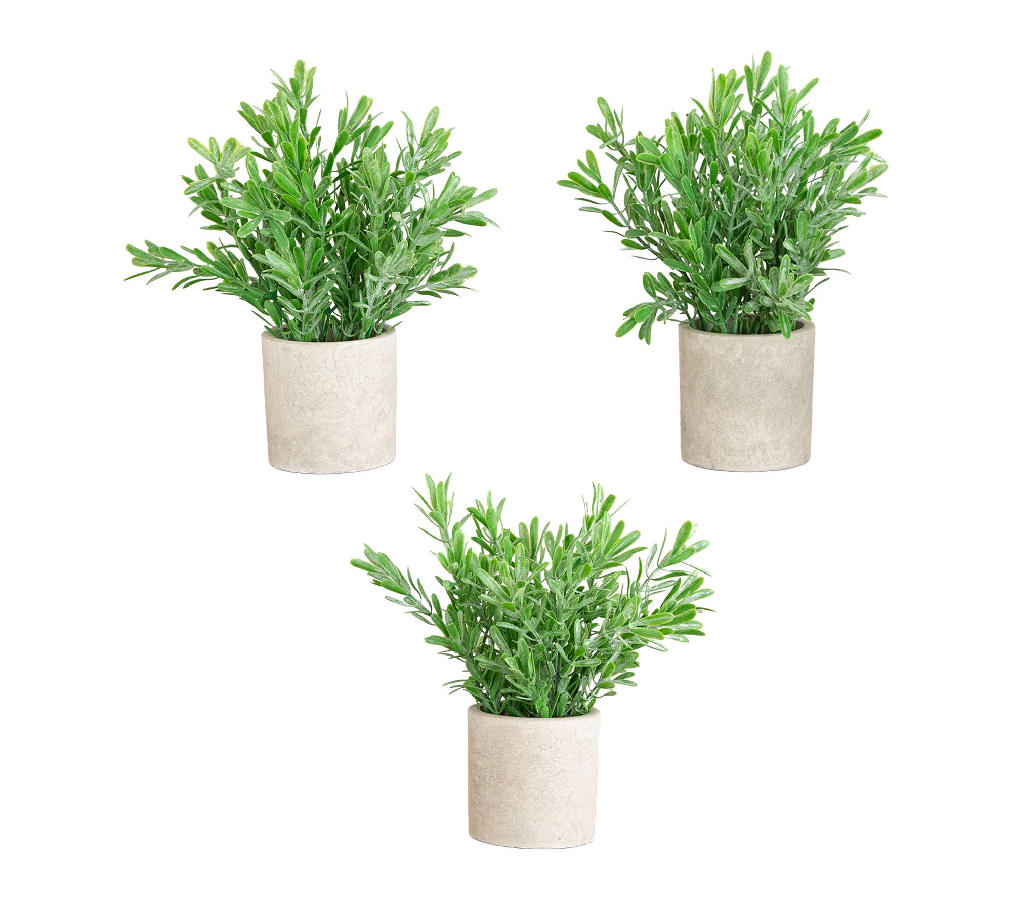 Grass Plants in Planters - Set of 3 by Nearly Natural