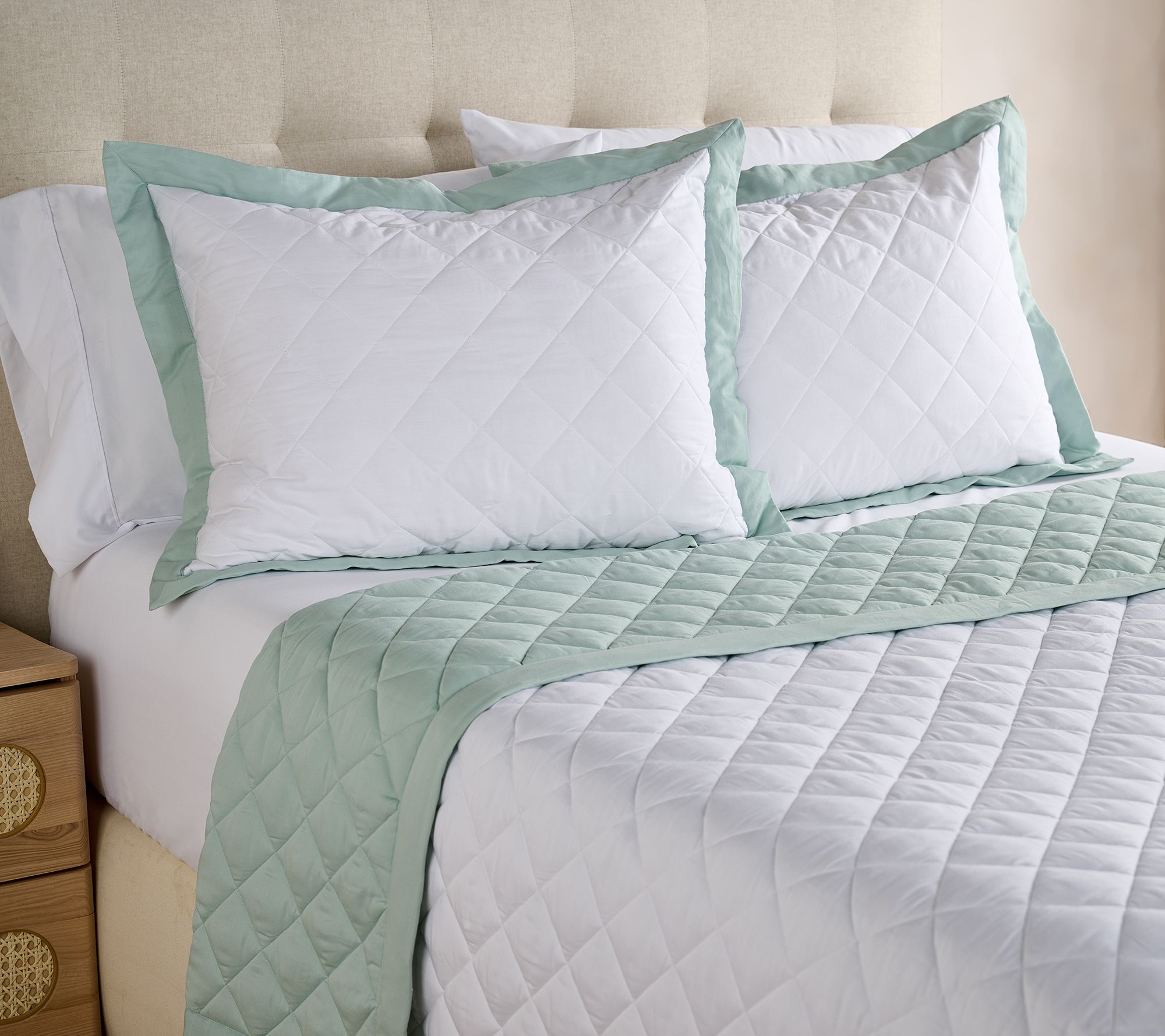 "As Is" W by Wamsutta Revers ible Down Alt Blanket & Sham Set- King