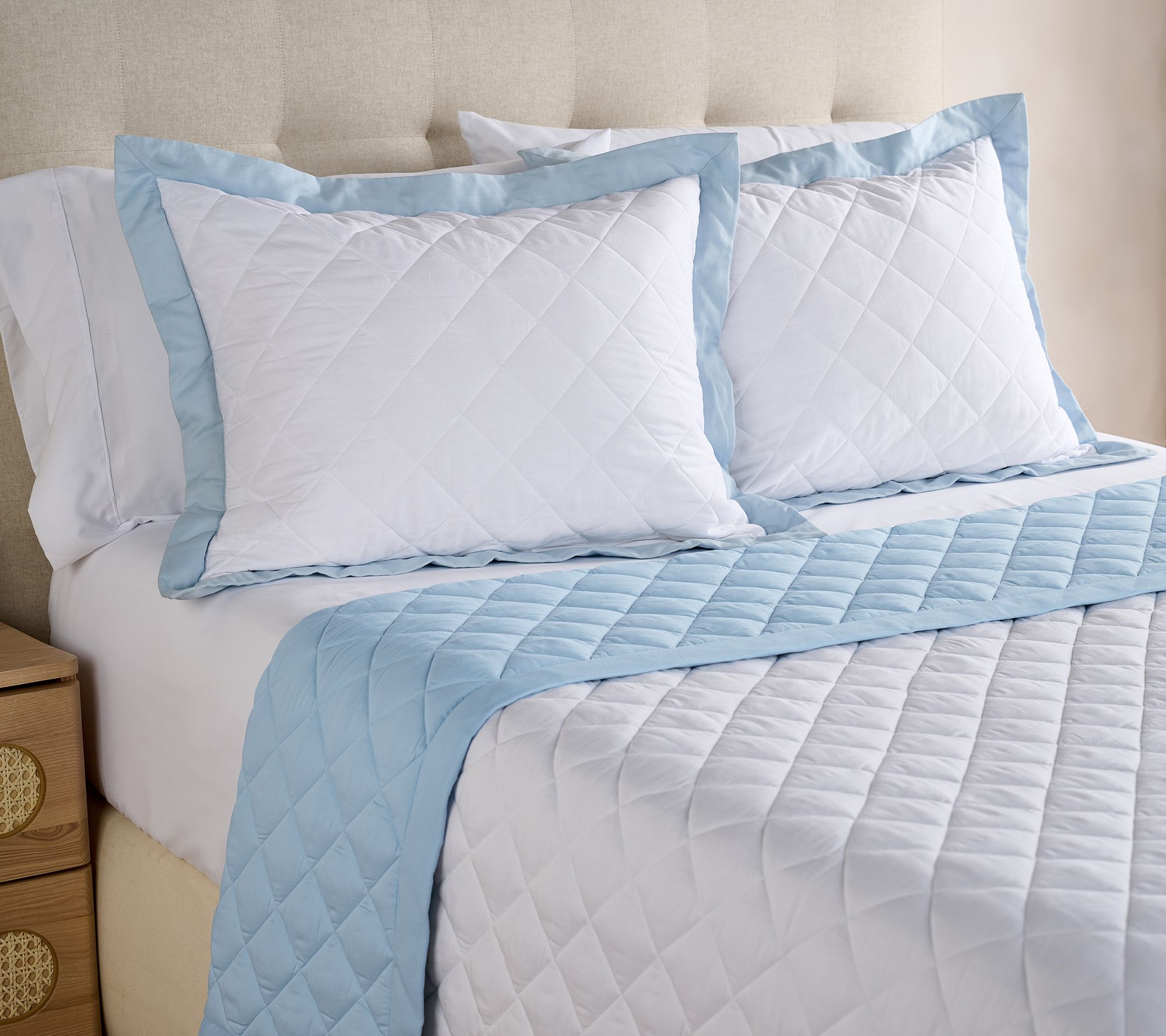 "As Is" W by Wamsutta Revers ible Down Alt Blanket & Sham Set- King