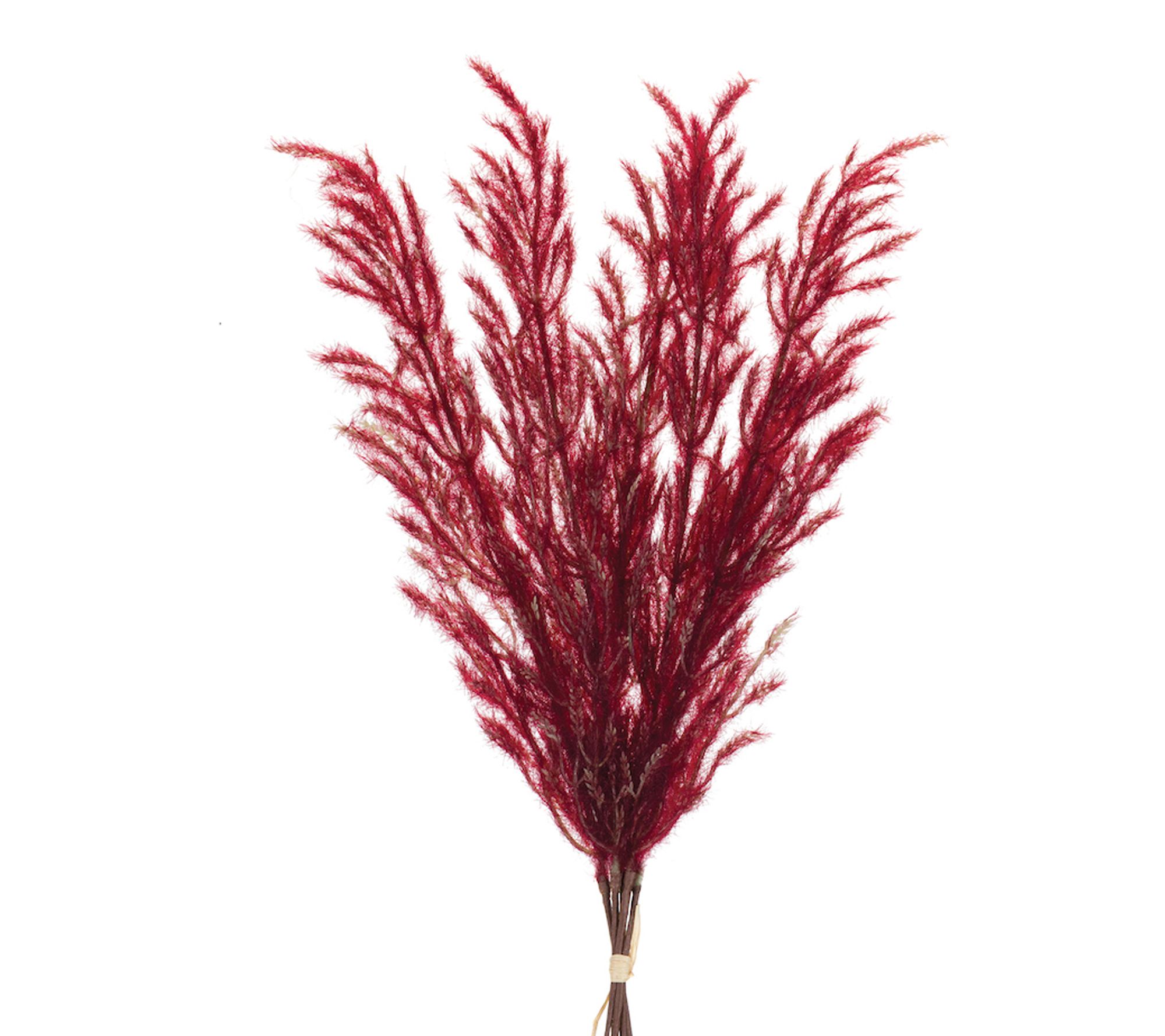 Melrose Burgandy Plume Bundle (Set of 6)