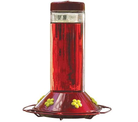 Hummingbird Feeder 30 Oz Page 1 Qvc Com