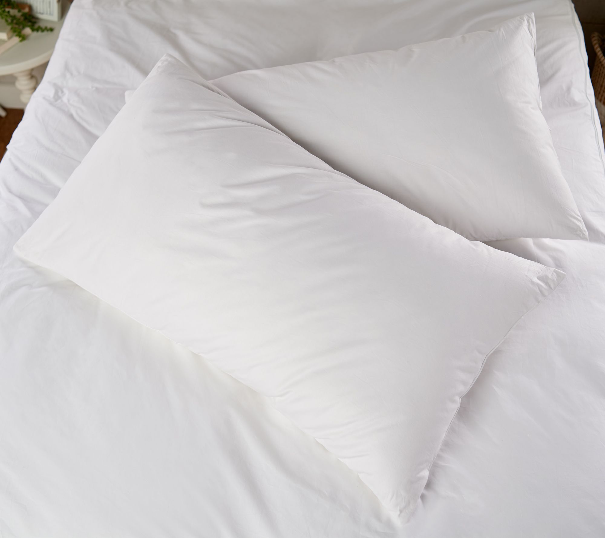 Northern Nights Set of 2 King Feather Pillows