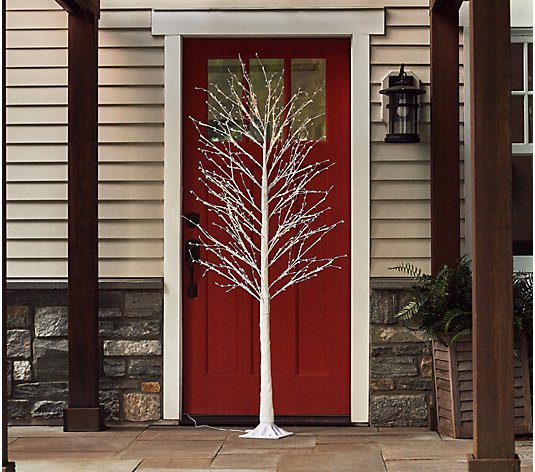 Indoor/Outdoor 6' Illuminated Twinkling Pip Berry Tree by Valerie
