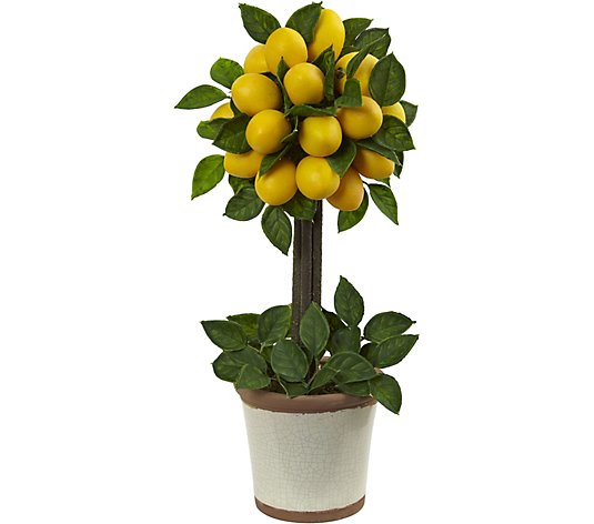 Lemon Ball Topiary Arrangement by Nearly Natural