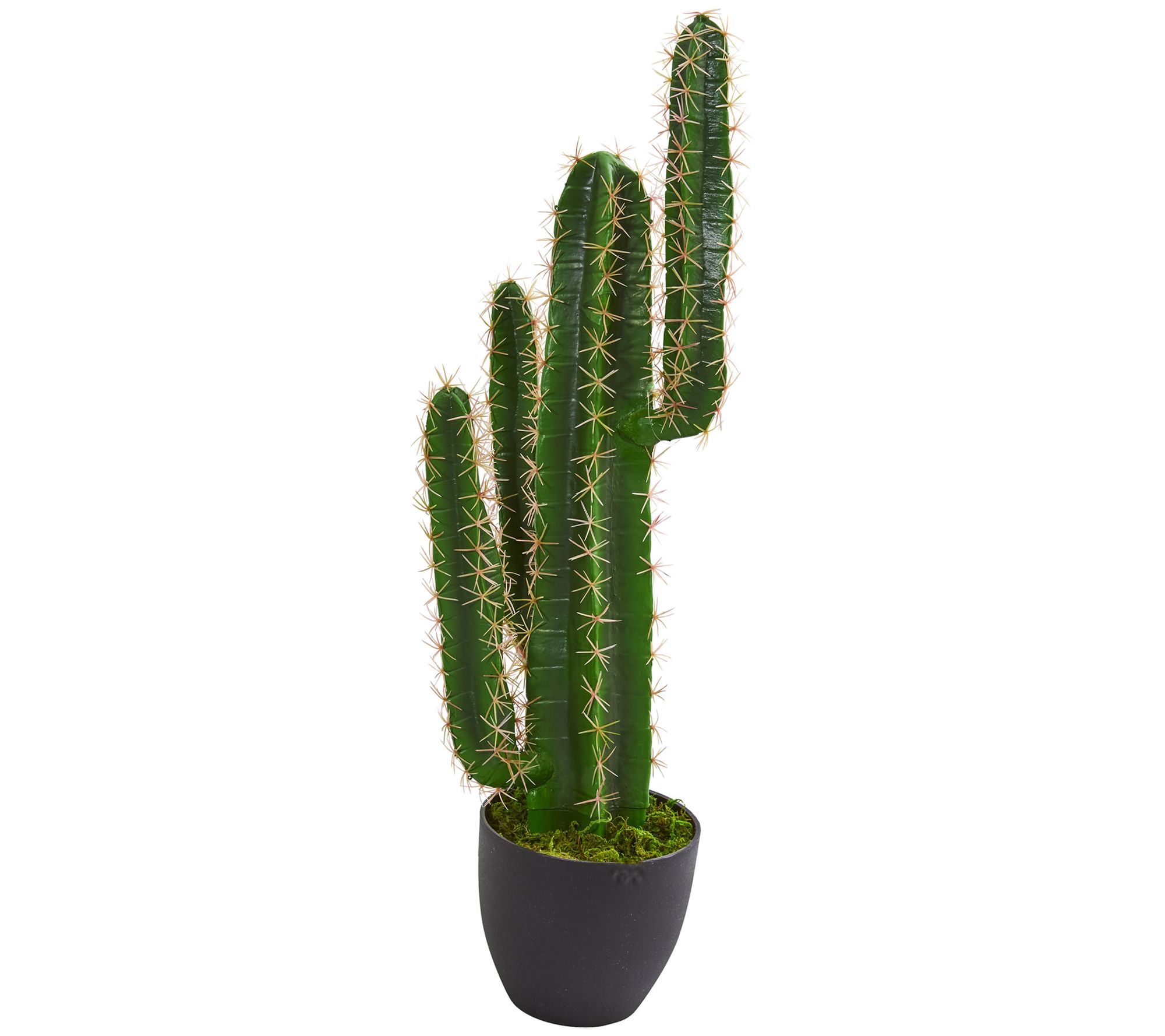 2.5' Cactus Artificial Plant by Nearly Natural - QVC.com
